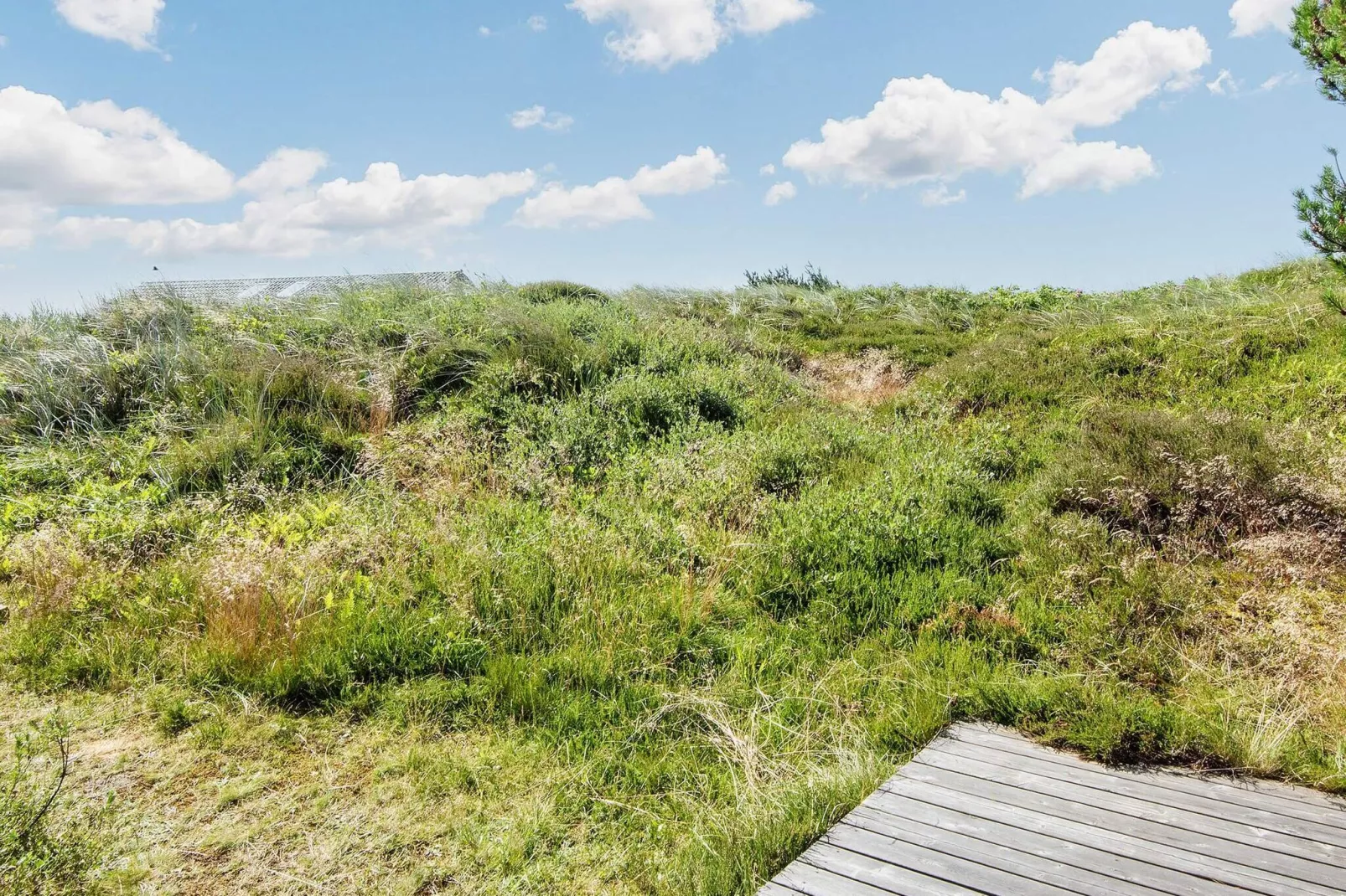 6 persoons vakantie huis in Ringkøbing-By Traum-Uitzicht