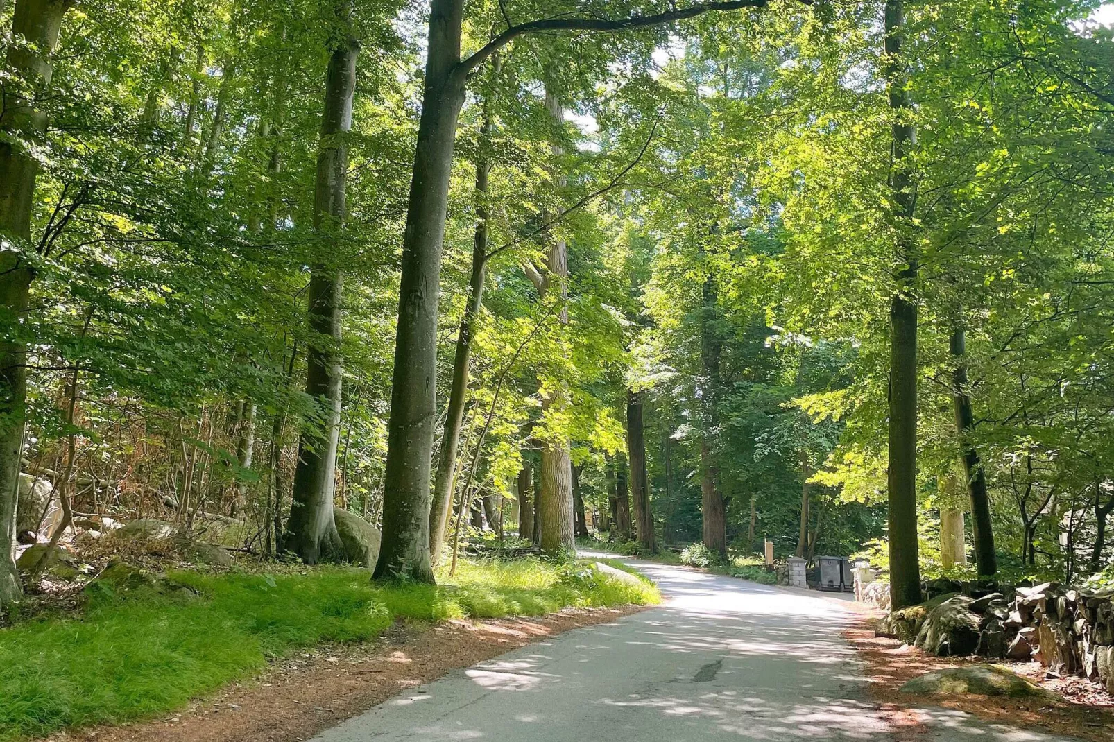6 persoons vakantie huis in SÖLVESBORG-By Traum-Niet-getagd