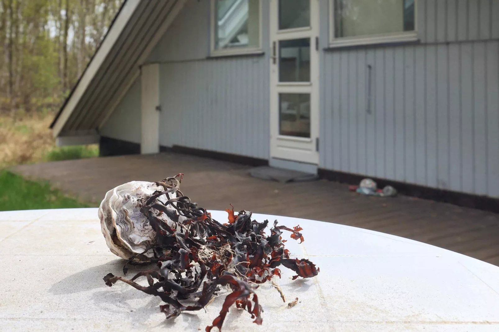 6 persoons vakantie huis in Læsø-By Traum-Uitzicht