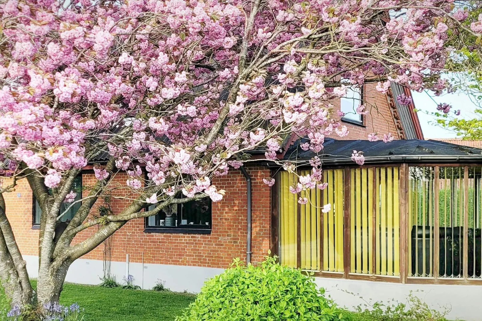 8 persoons vakantie huis in Øster Assels-By Traum-Buitenlucht