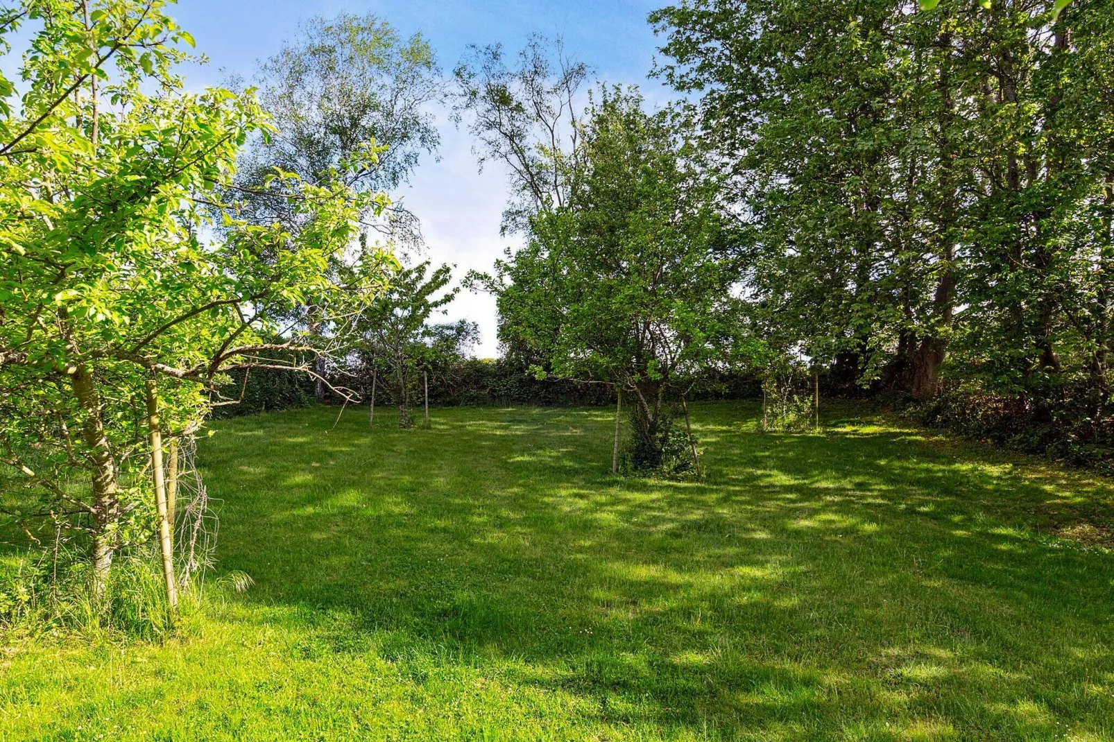 7 persoons vakantie huis in Tranekær-By Traum-Buitenlucht