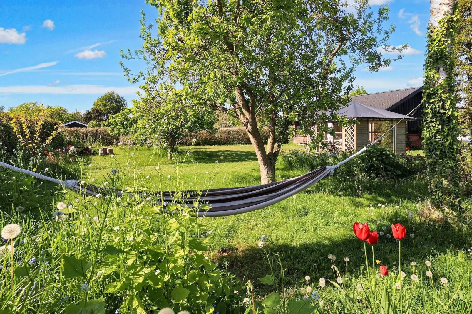 6 persoons vakantie huis in Rødvig Stevns-By Traum-Uitzicht