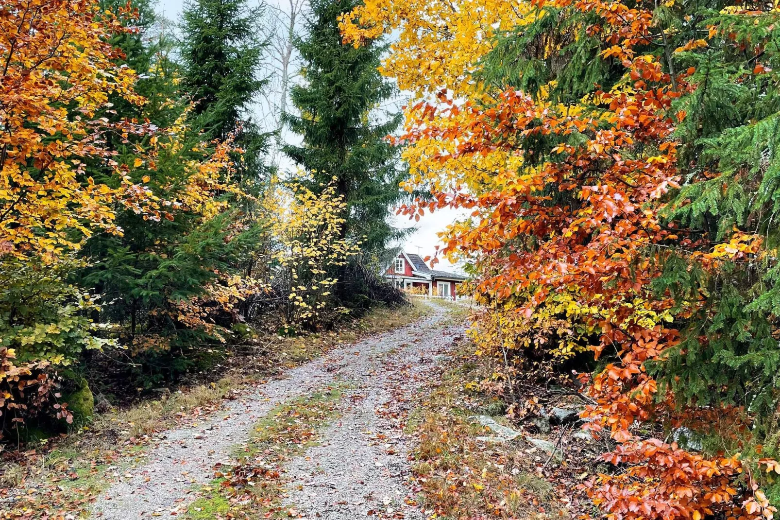 13 persoons vakantie huis in KYRKHULT-By Traum-Buitenlucht