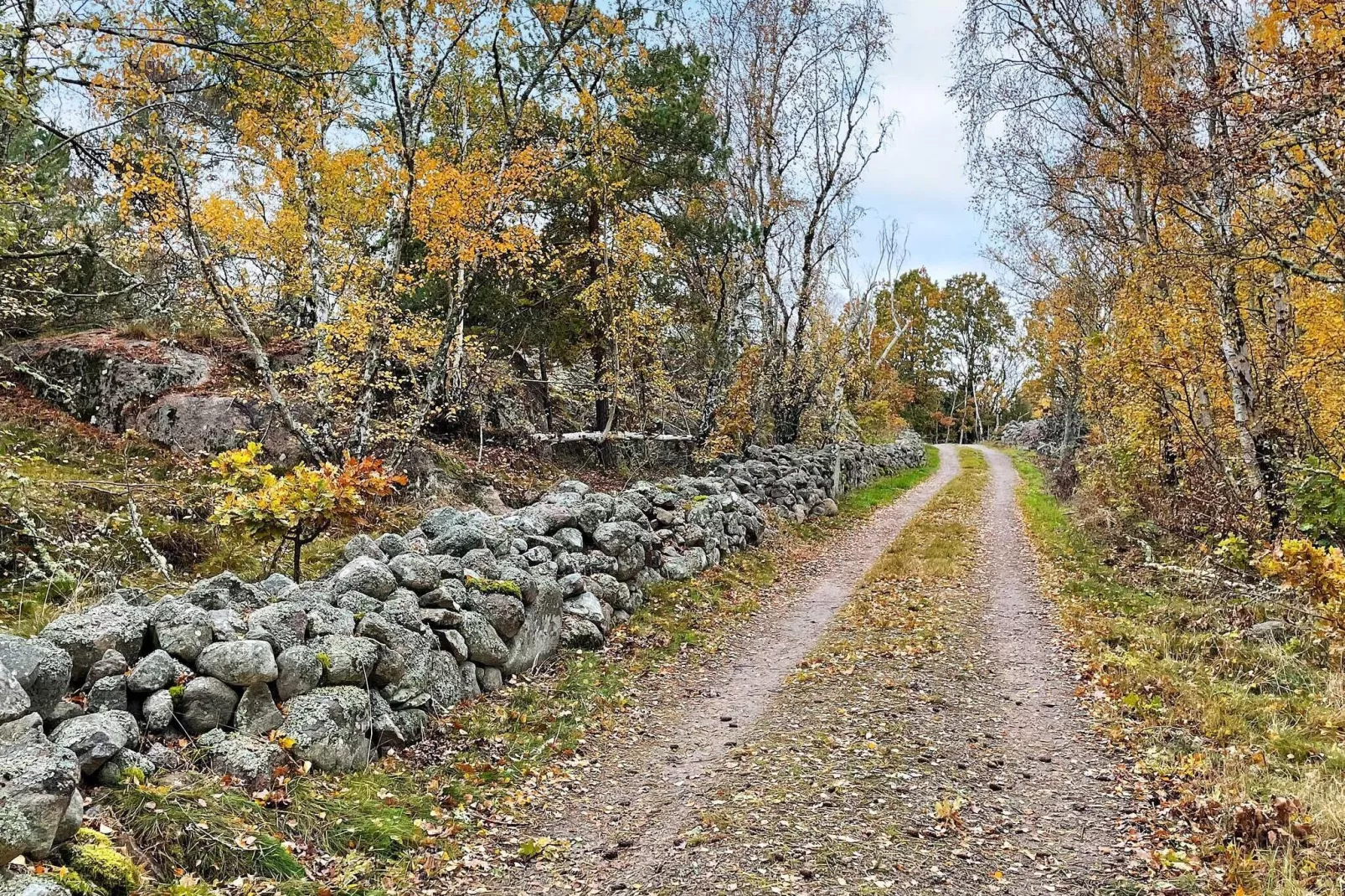 4 sterren vakantie huis in TORHAMN-By Traum-Buitenlucht