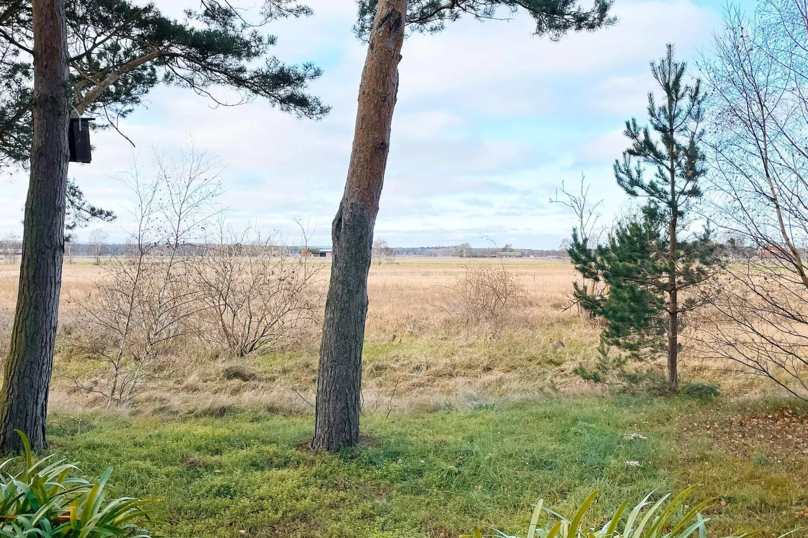 4 sterren vakantie huis in YNGSJÖ-By Traum-Buitenlucht