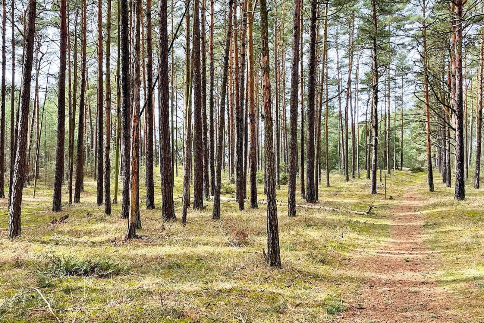 4 sterren vakantie huis in YNGSJÖ-By Traum-Niet-getagd