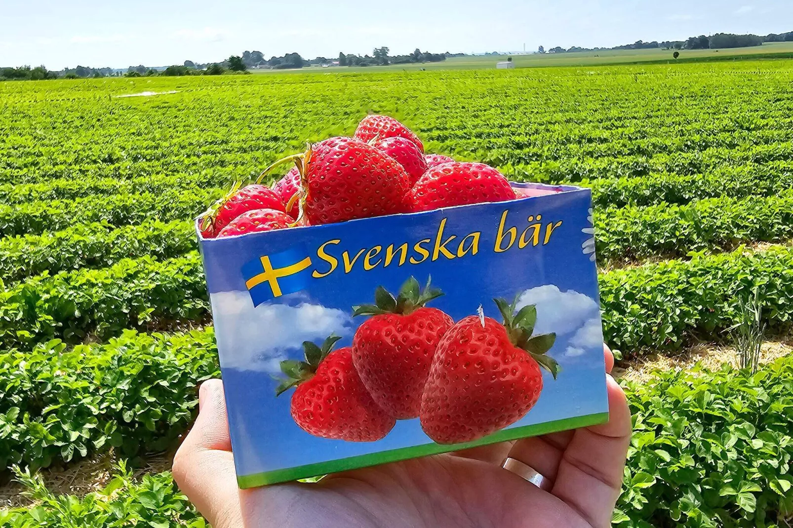 4 sterren vakantie huis in YNGSJÖ-By Traum-Niet-getagd