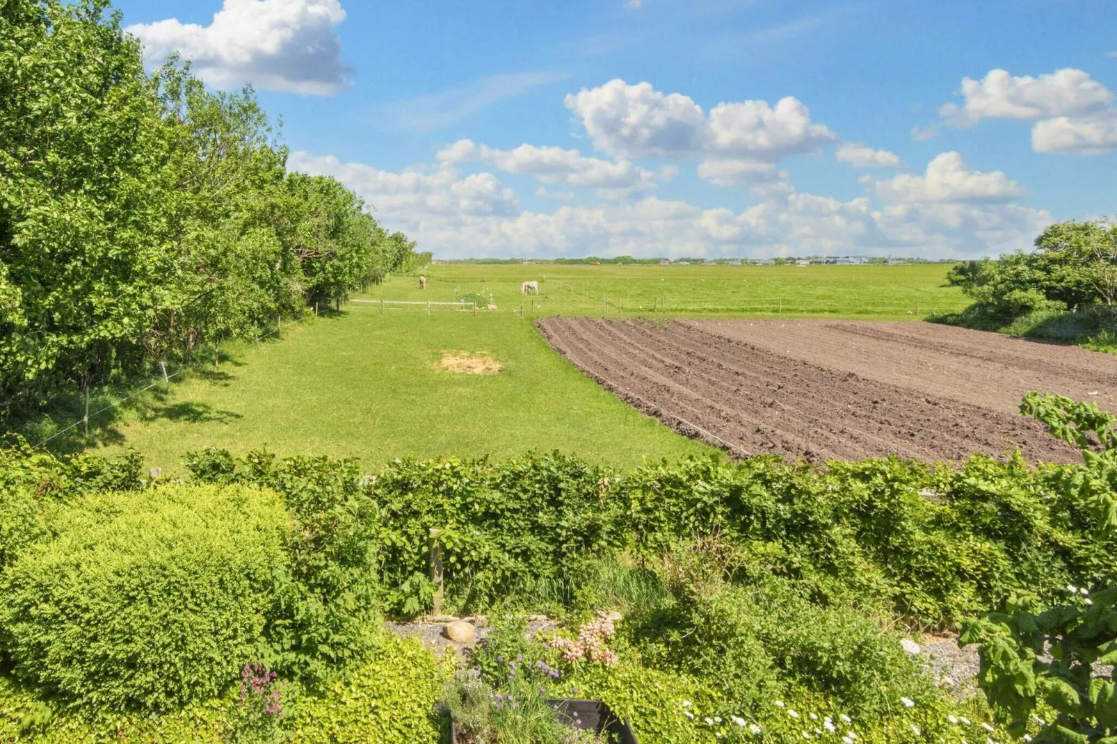 6 persoons vakantie huis in Ringkøbing-By Traum-Uitzicht