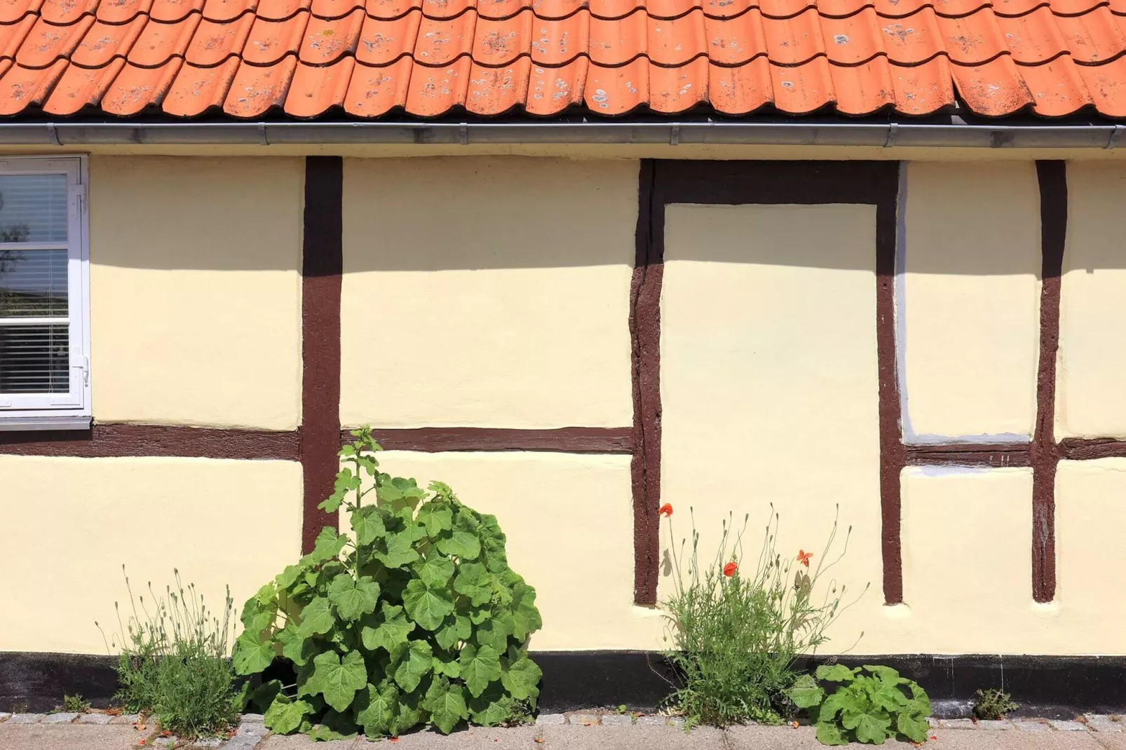 4 persoons vakantie huis in Nysted-By Traum-Uitzicht