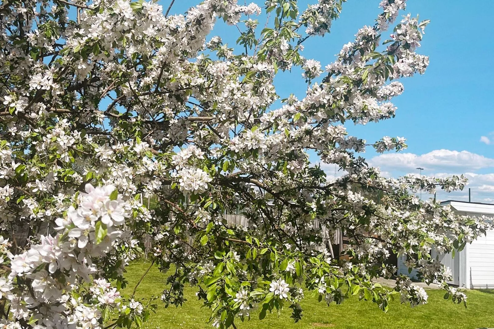 4 sterren vakantie huis in GÖTEBORG-By Traum-Buitenlucht