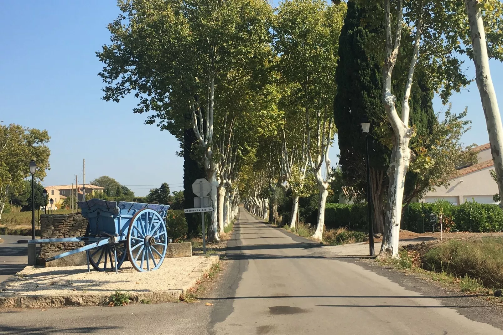 Mas de Montbrun-Gebieden zomer 1km