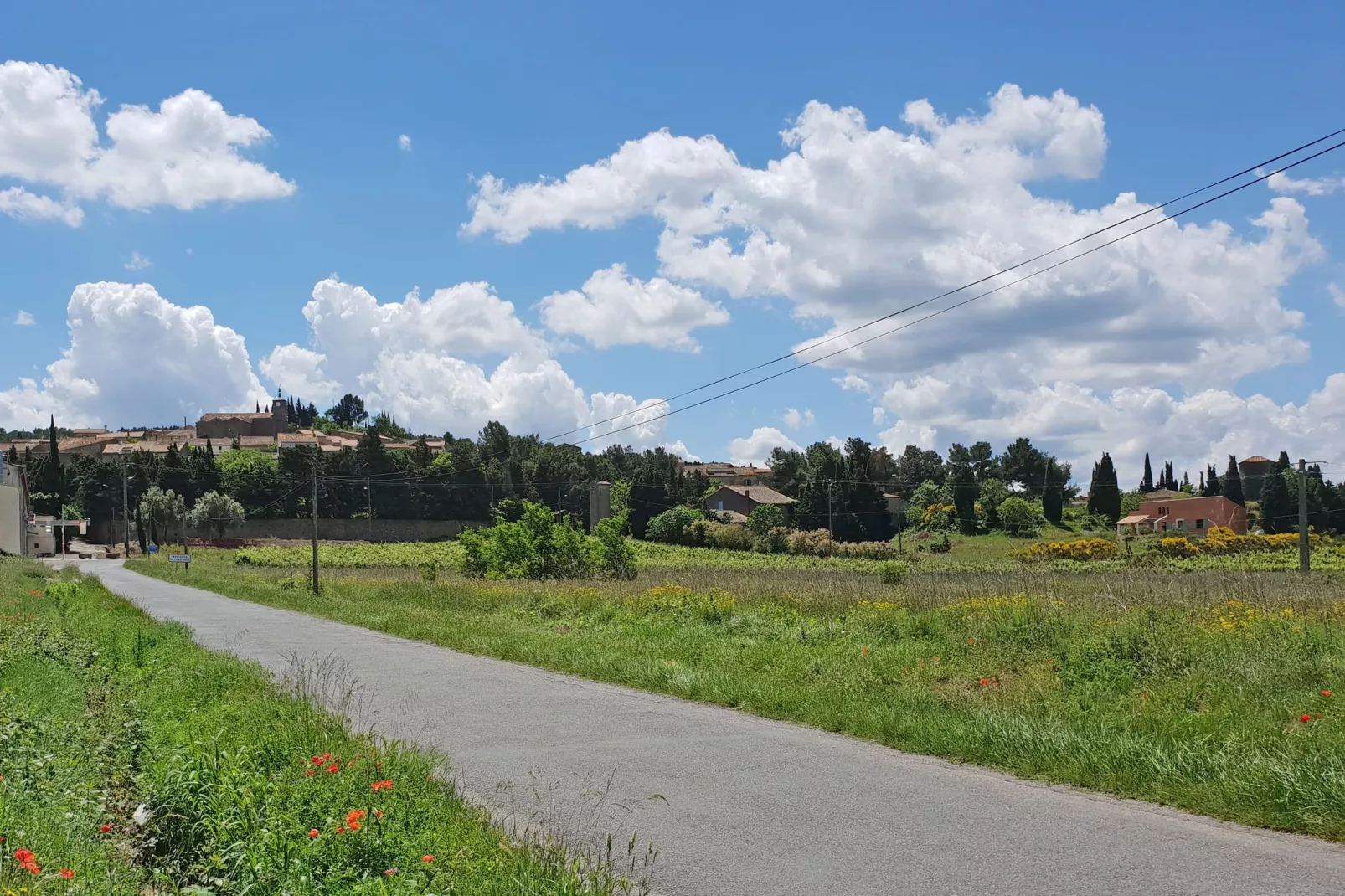 Mas de Montbrun-Gebieden zomer 1km