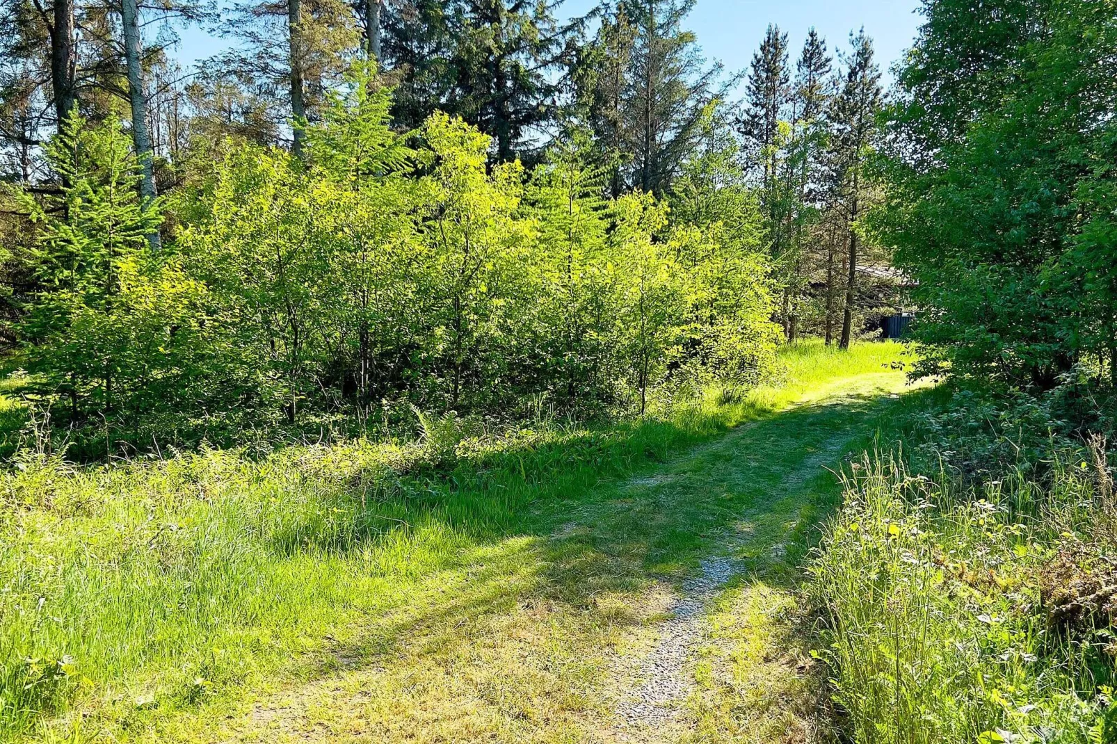 6 persoons vakantie huis in Ålbæk-By Traum-Niet-getagd