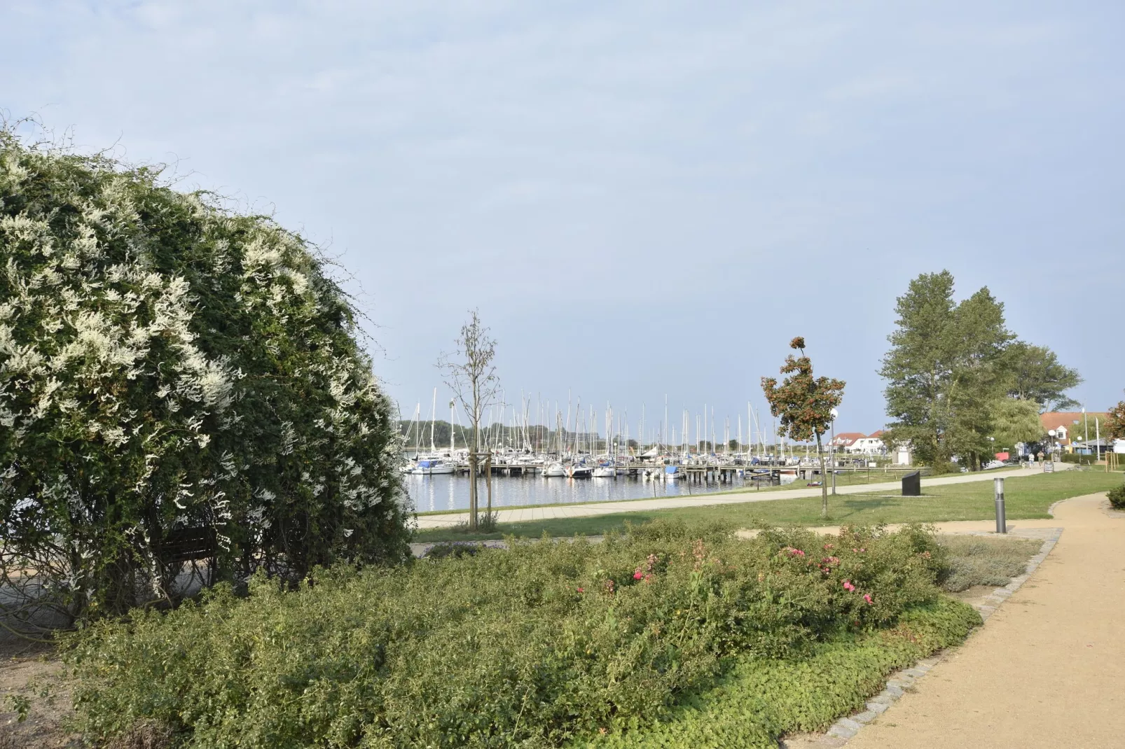 Am Haffplatz-Gebieden zomer 1km