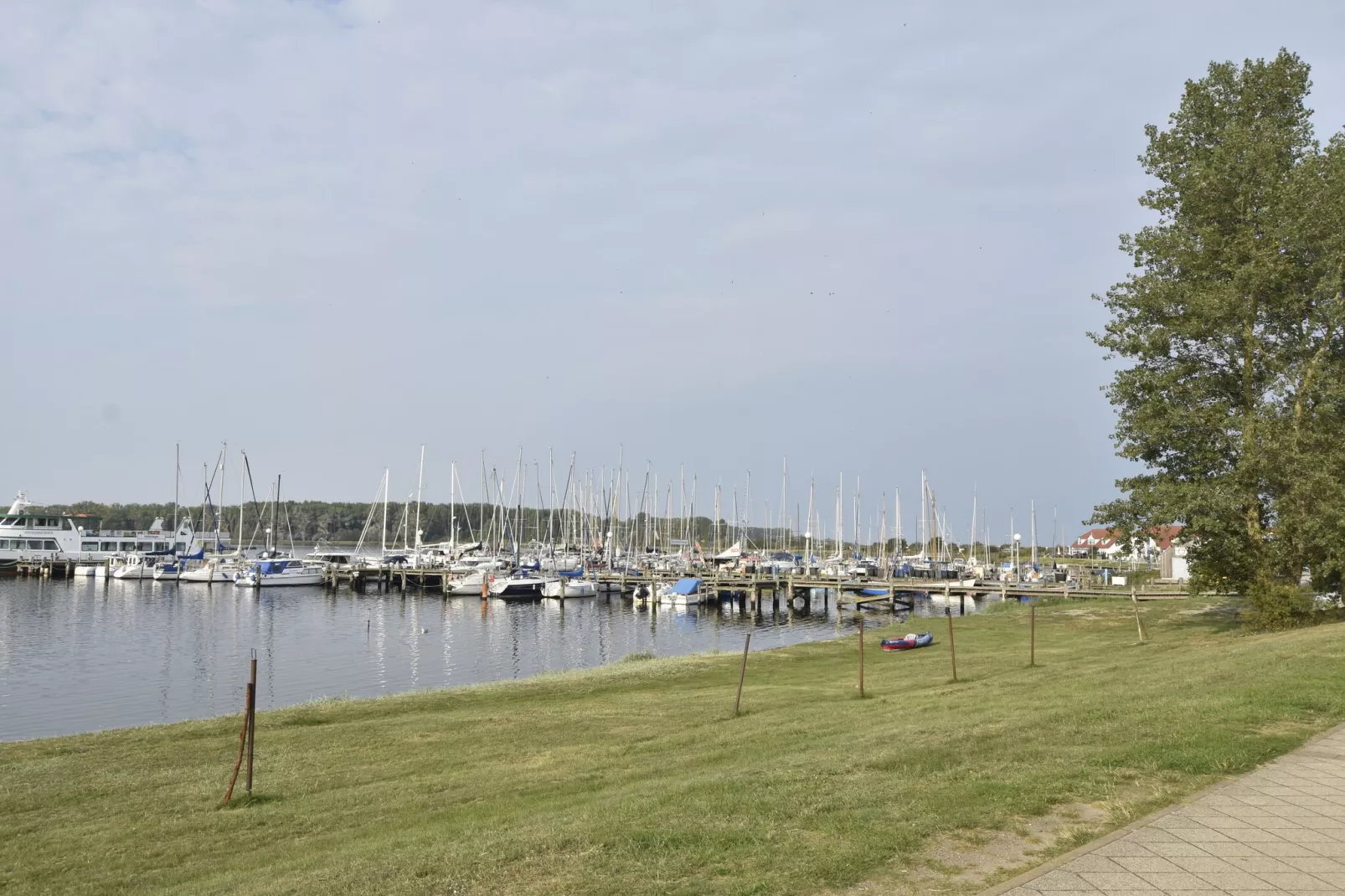 Am Haffplatz-Gebieden zomer 1km