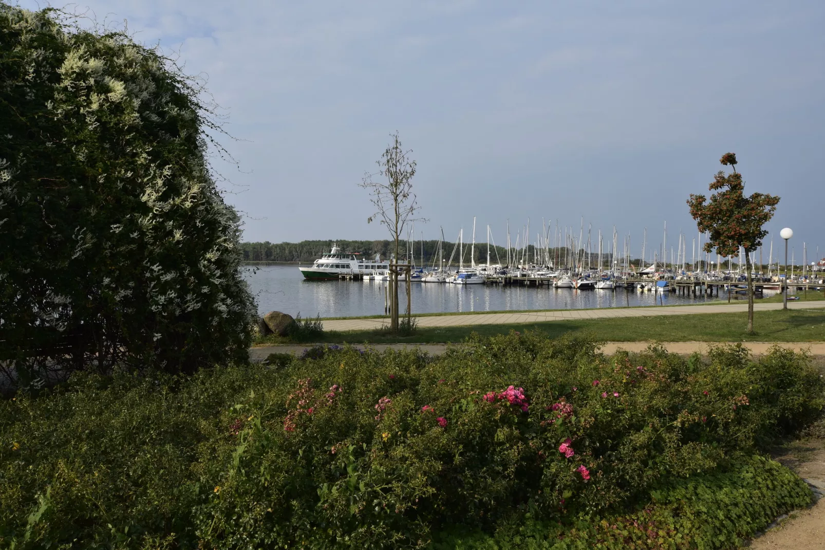 Am Haffplatz-Gebieden zomer 20km