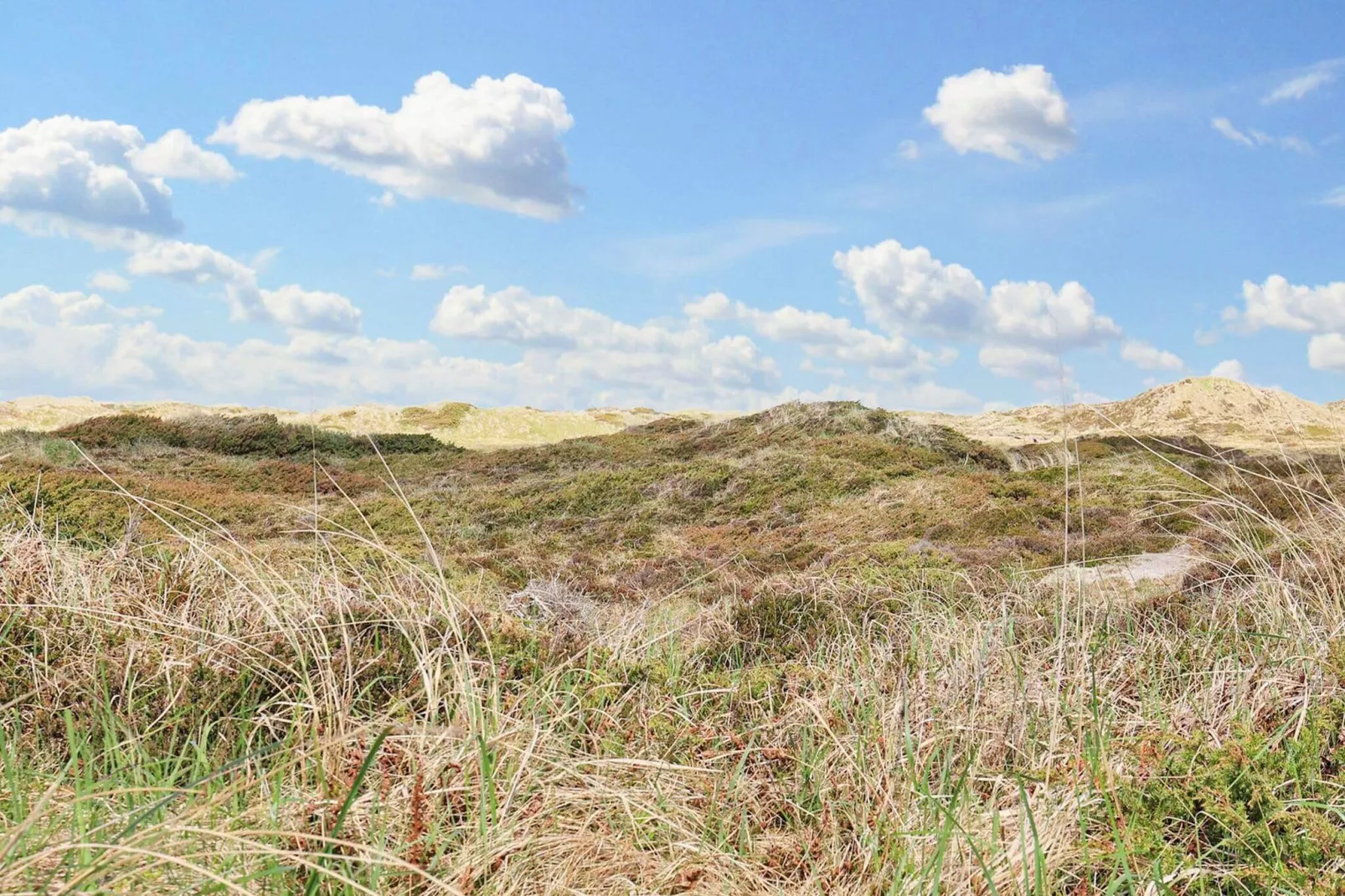 6 persoons vakantie huis in Pandrup-By Traum-Uitzicht