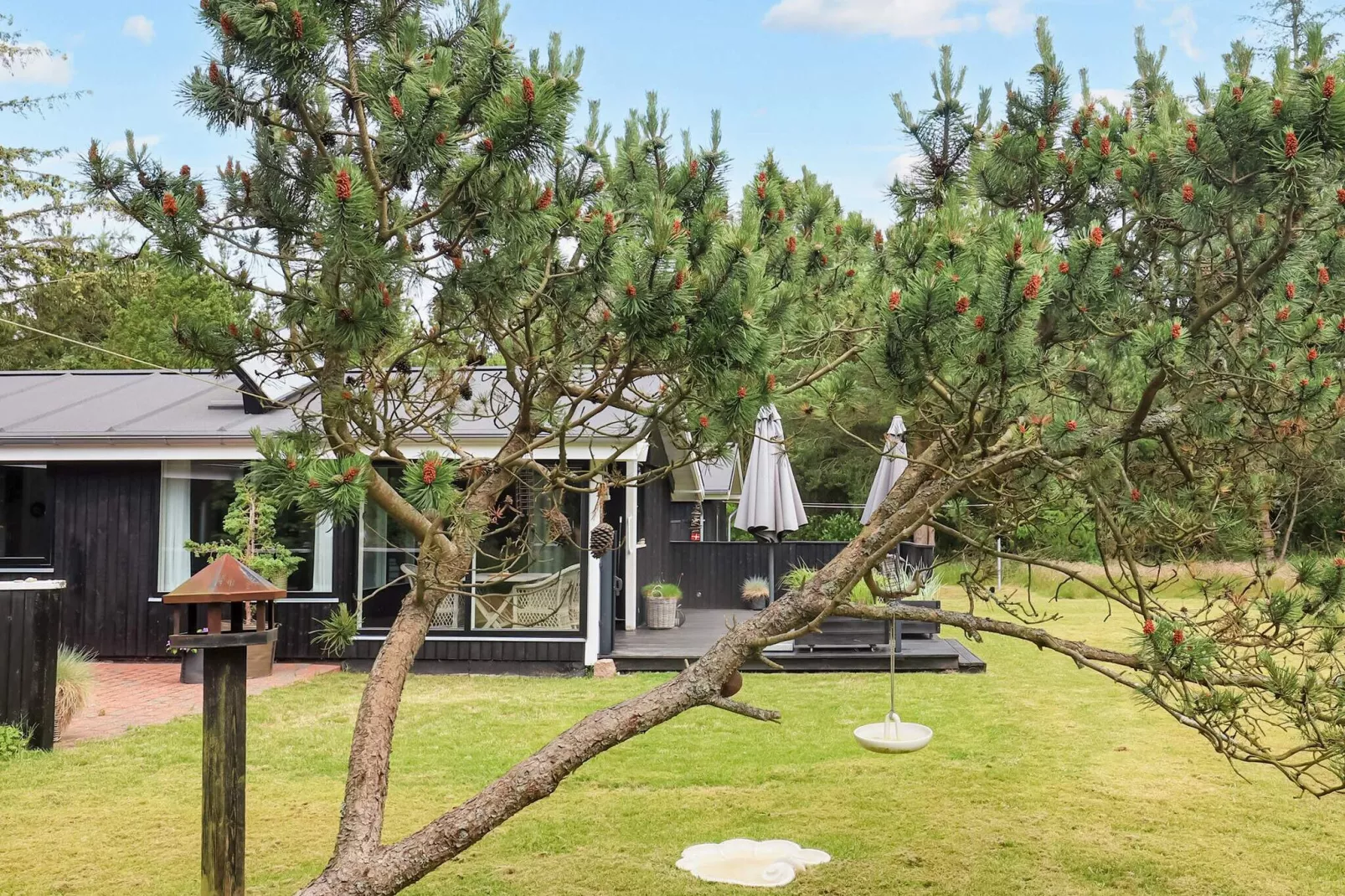 6 persoons vakantie huis in Jerup-By Traum-Uitzicht