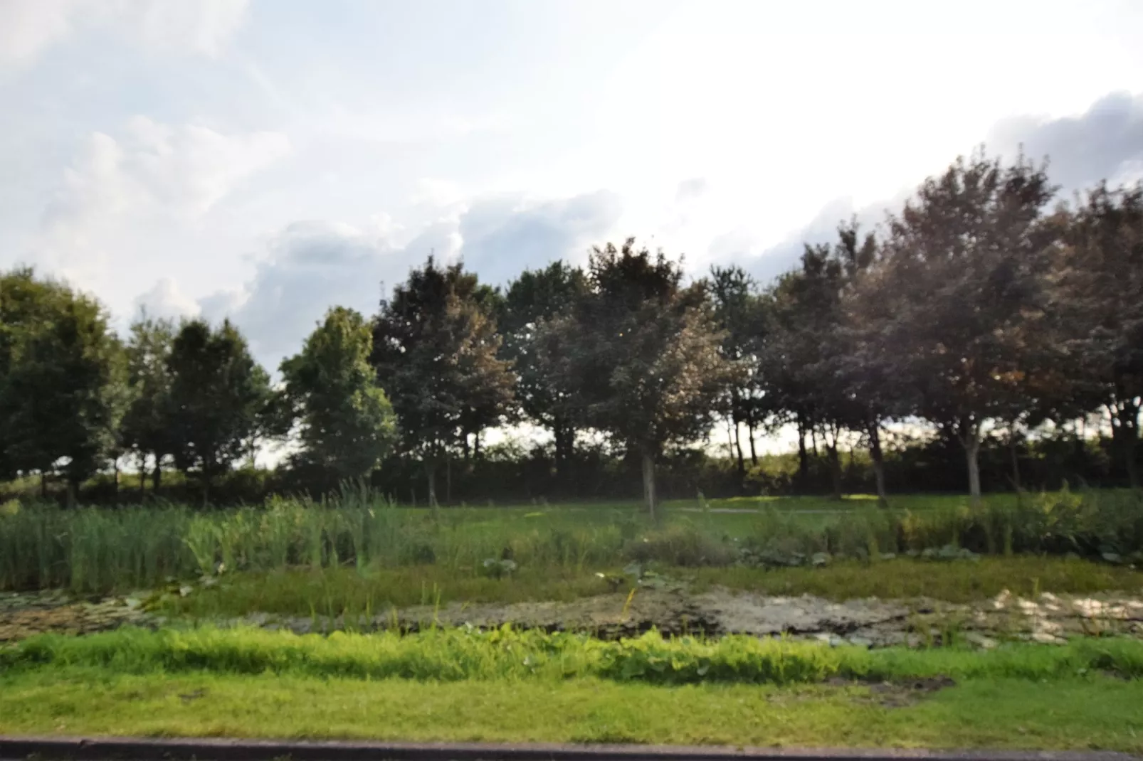 Ons Nestje-Gebieden zomer 1km