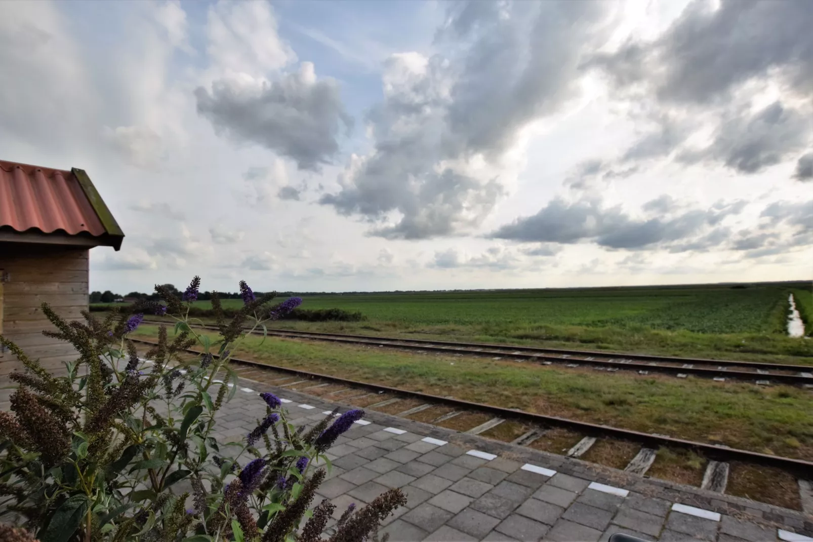 Ons Nestje-Gebieden zomer 1km