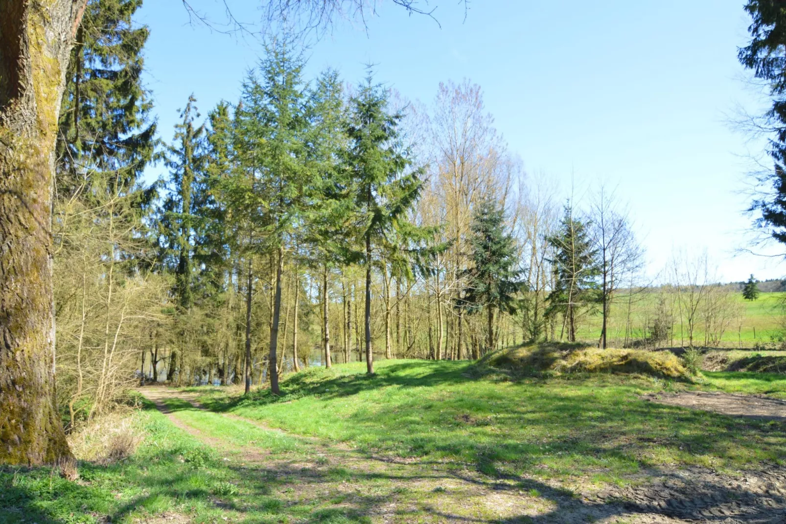 Le Haras-Gebieden zomer 20km