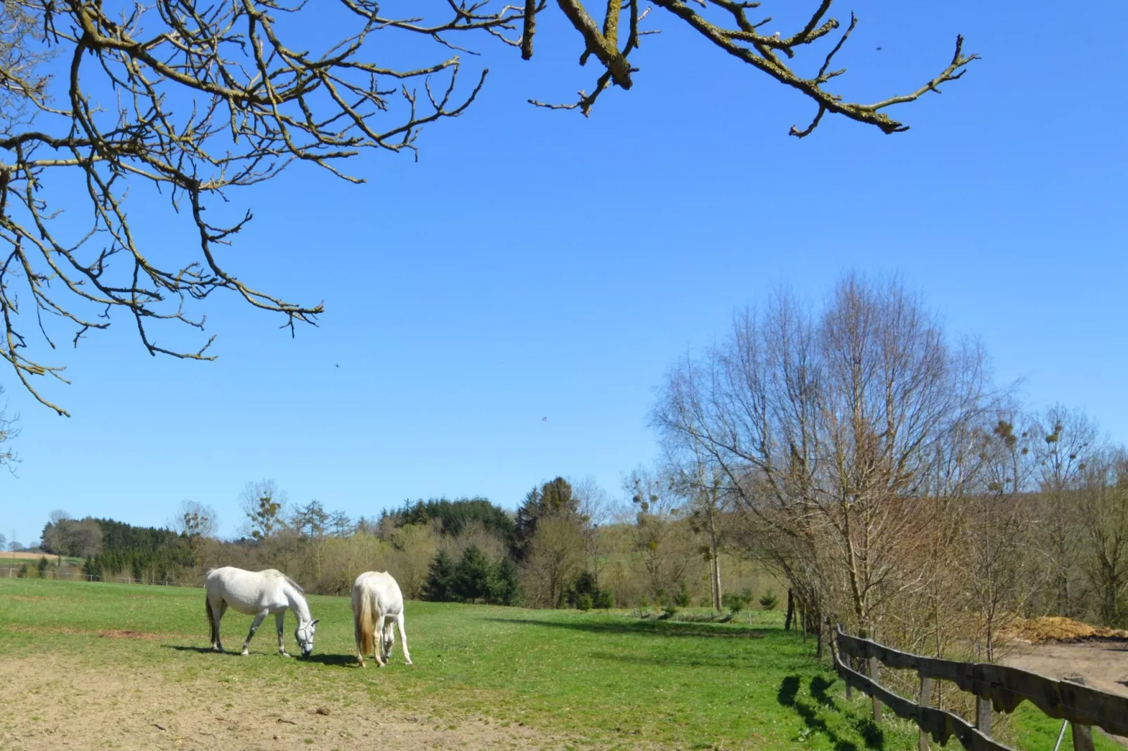 Le Haras-Gebieden zomer 20km