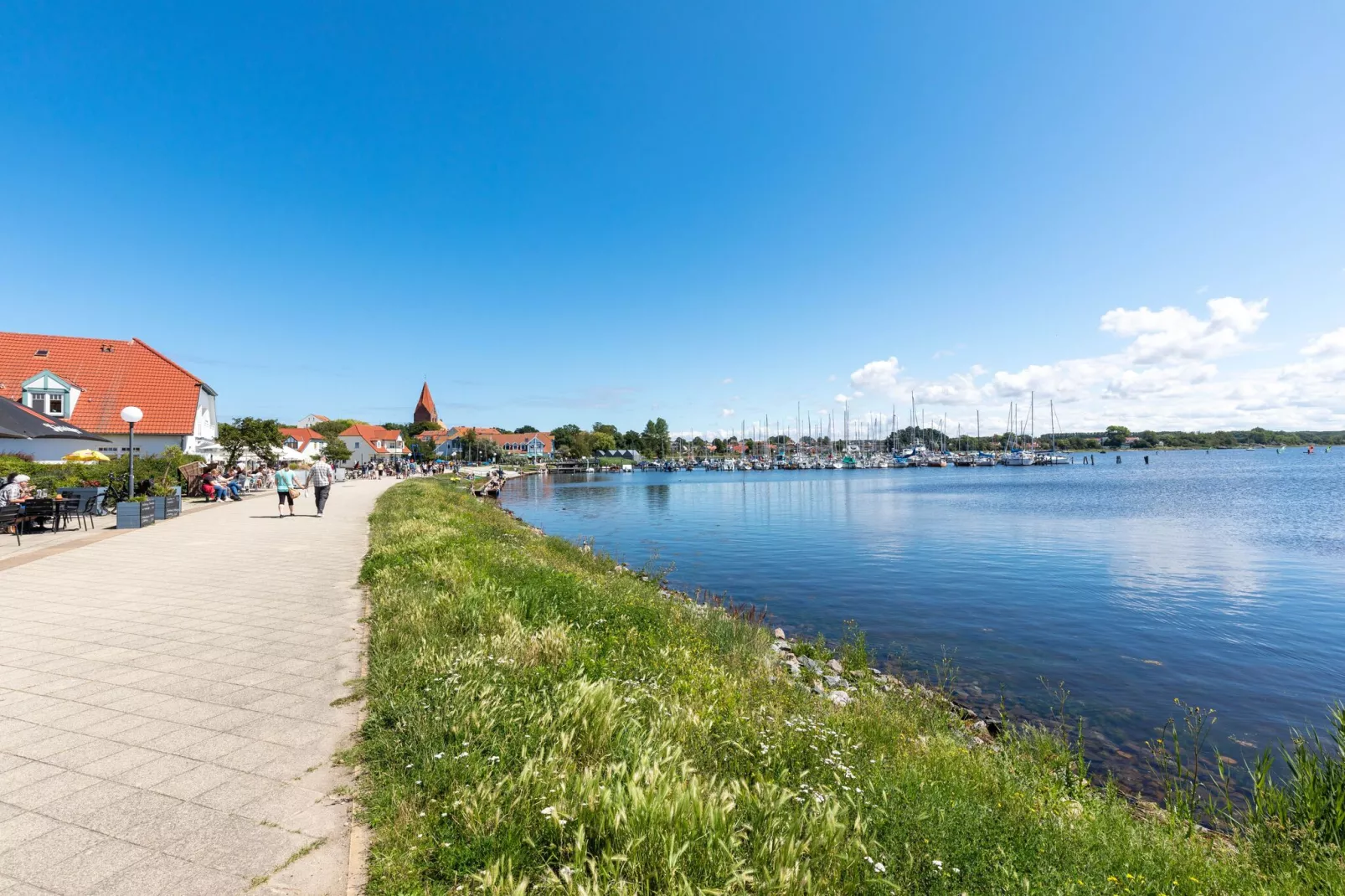 An den Wiesen-Gebieden zomer 5km