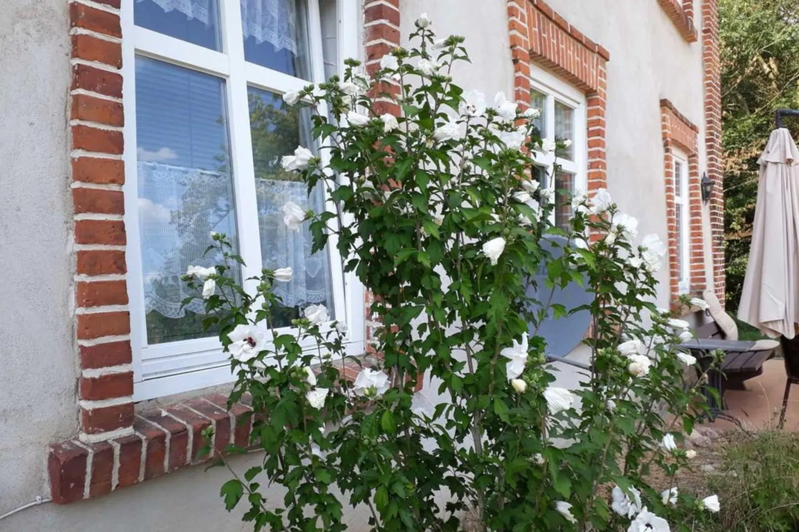 Wohnen im Gutshaus-Tuinen zomer