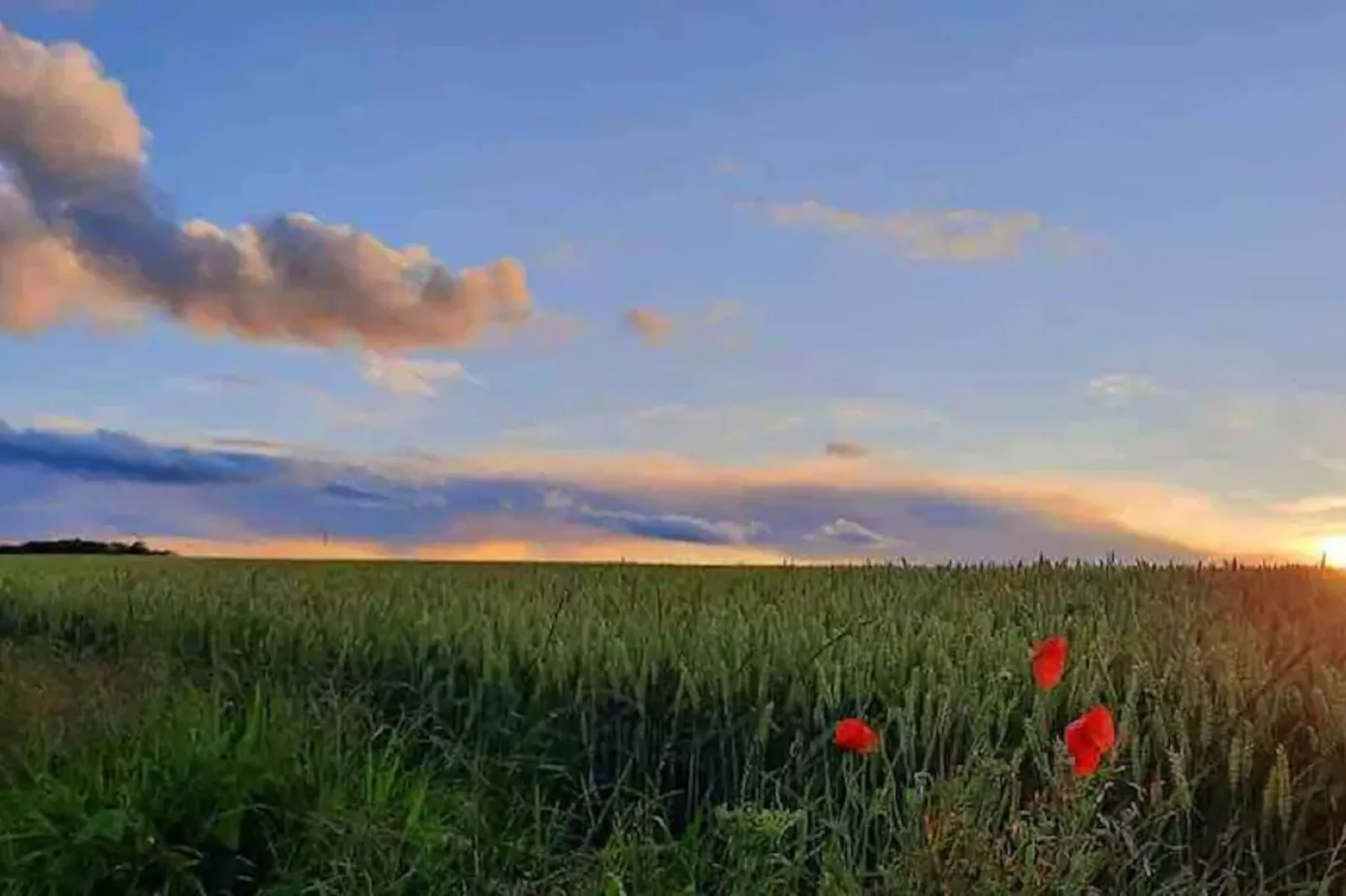 Le châlet d'à côté-Uitzicht zomer