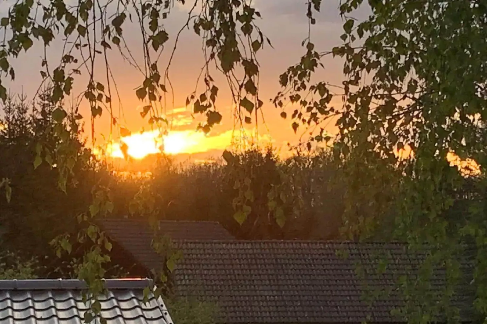 Le châlet d'à côté-Uitzicht zomer