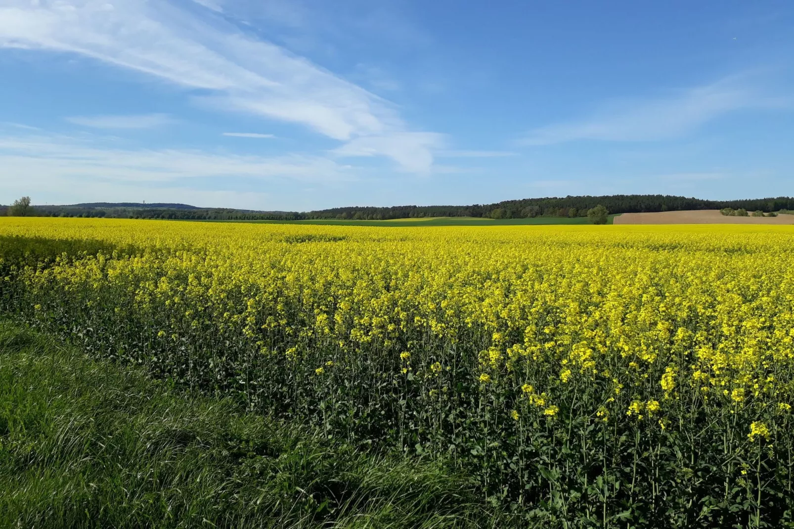 Wohnen im Gutshaus-Gebieden zomer 5km