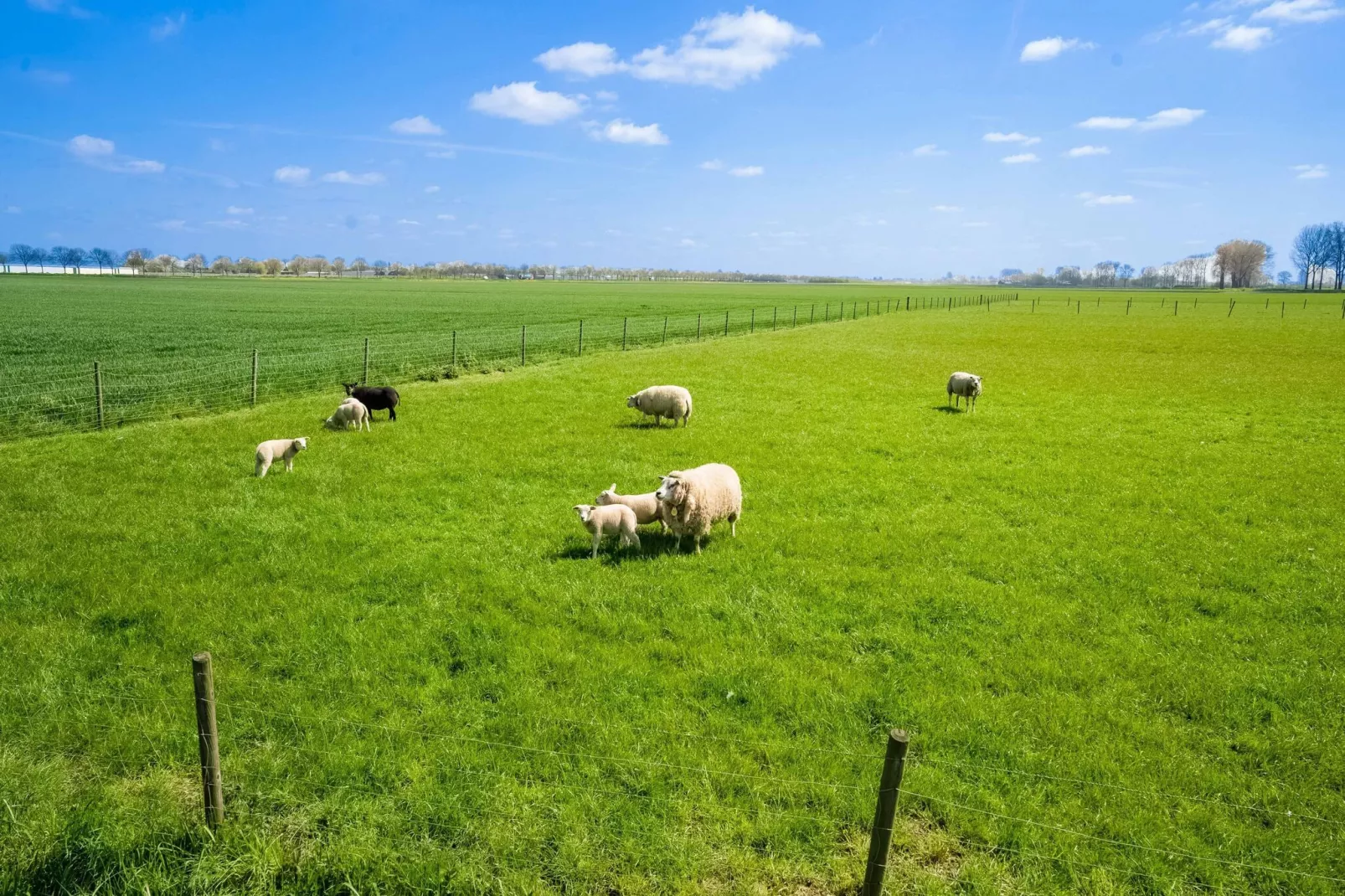 De Genderense Hoeve-Uitzicht zomer