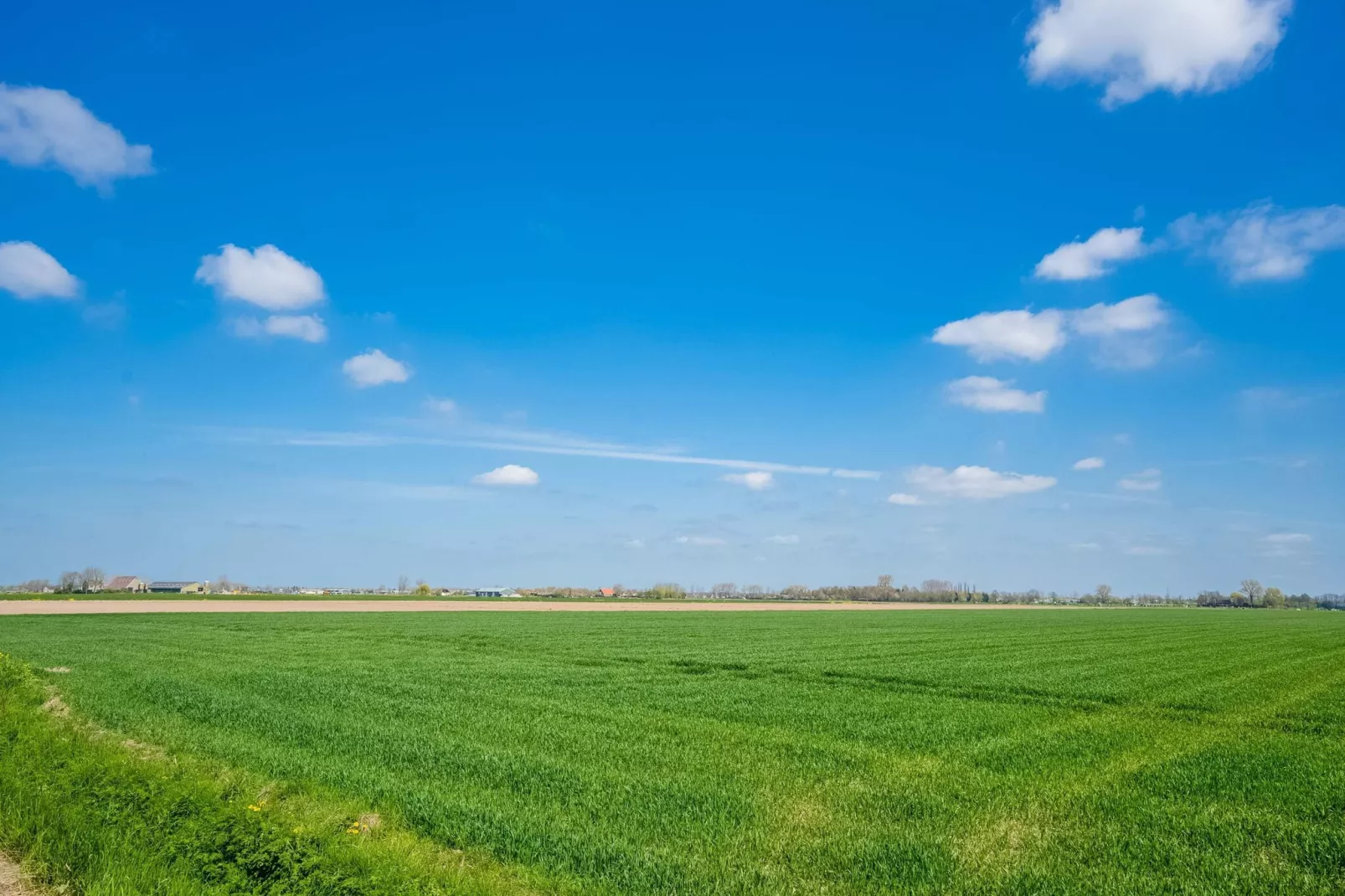 De Genderense Hoeve-Gebieden zomer 5km