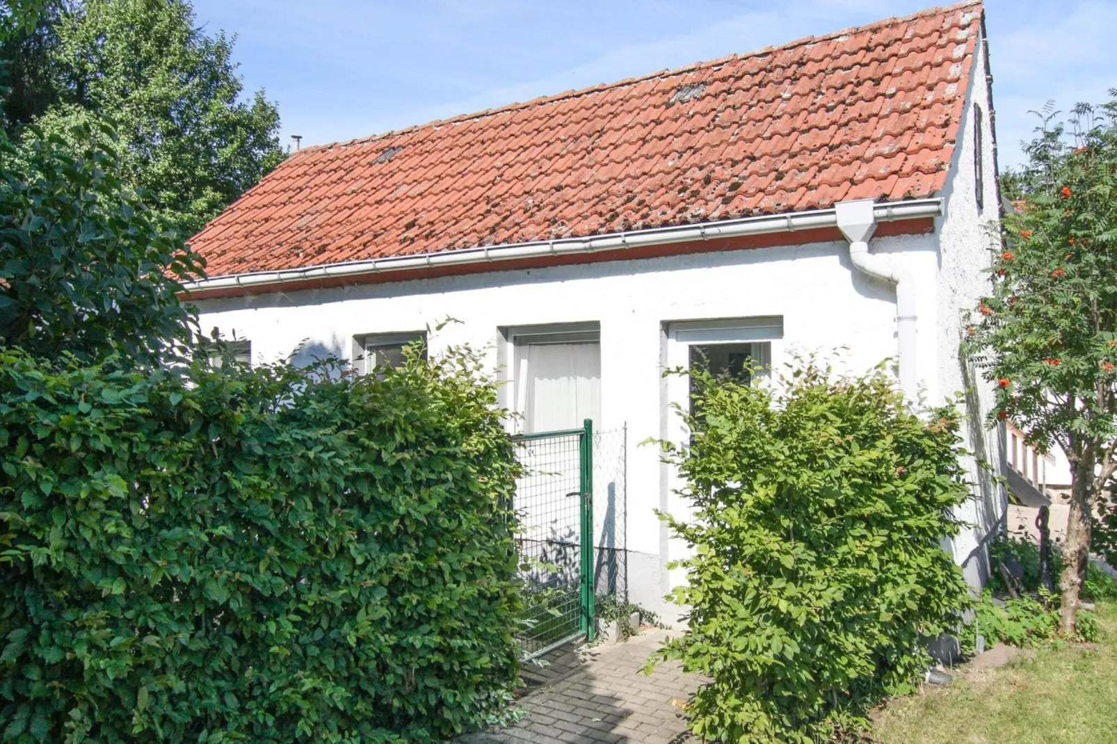 Ferienhaus Gänseblümchen-Buitenkant zomer