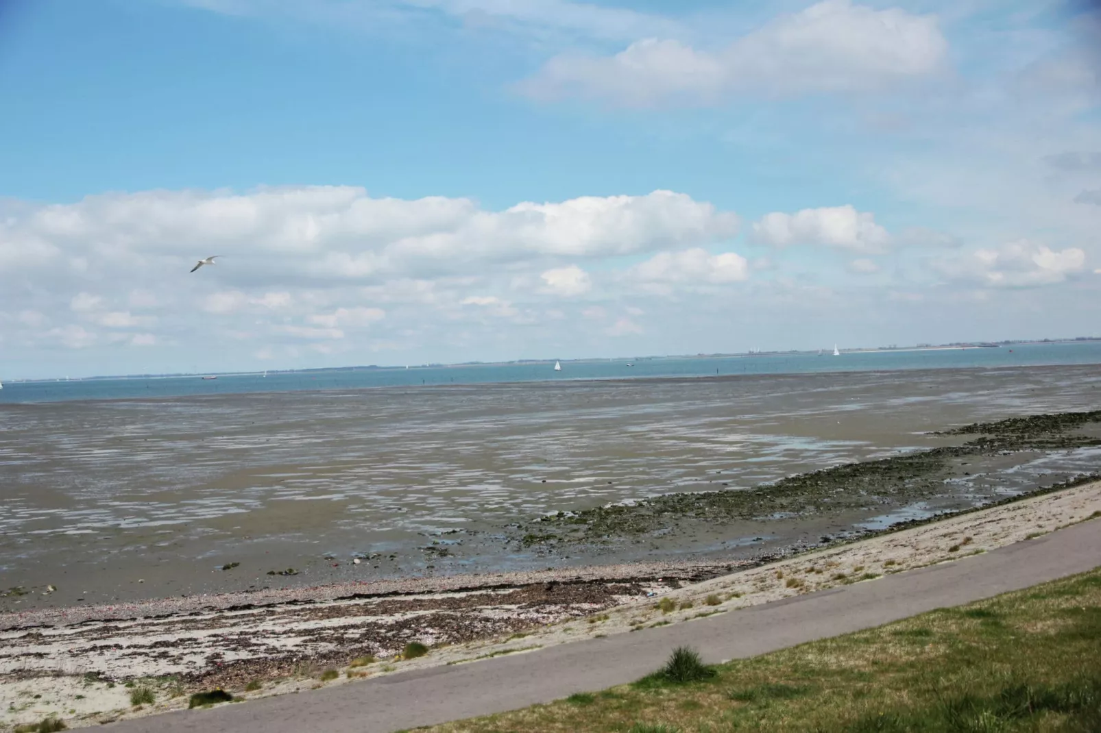 Dichtbij de Oosterschelde-Gebieden zomer 1km