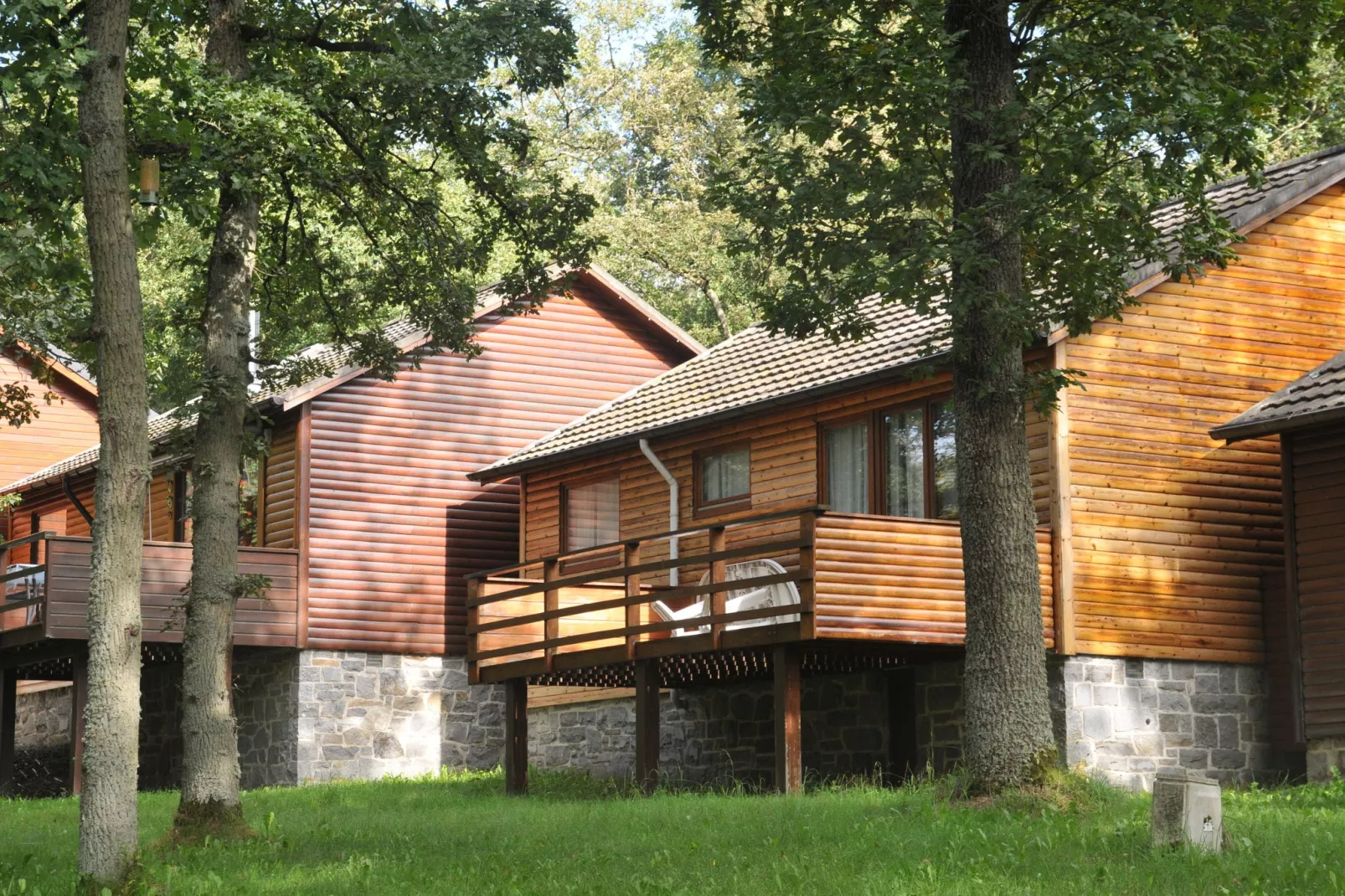 Le Bochetay 12-Exterieur winter
