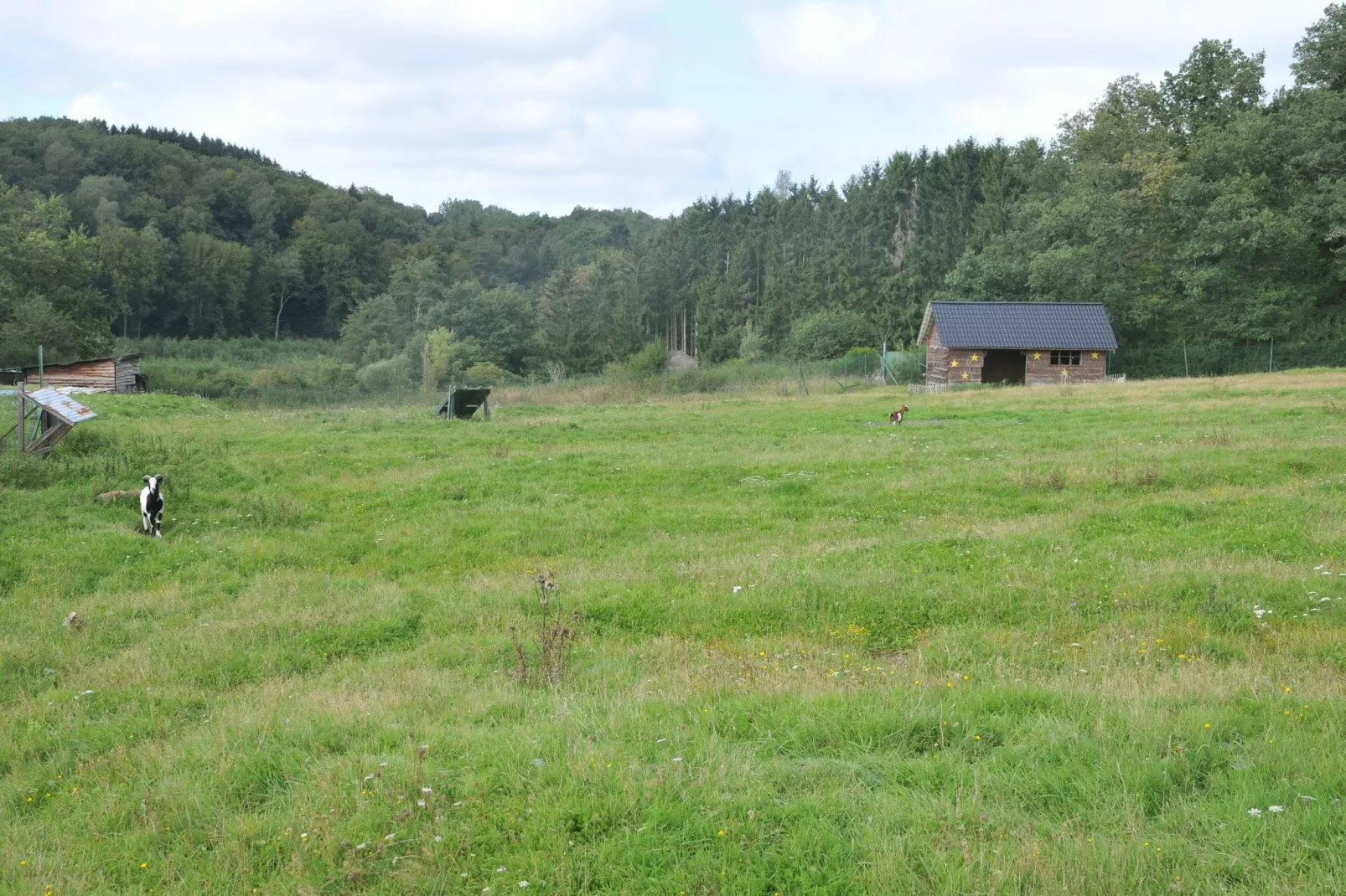 Le Bochetay 12-Parkfaciliteiten