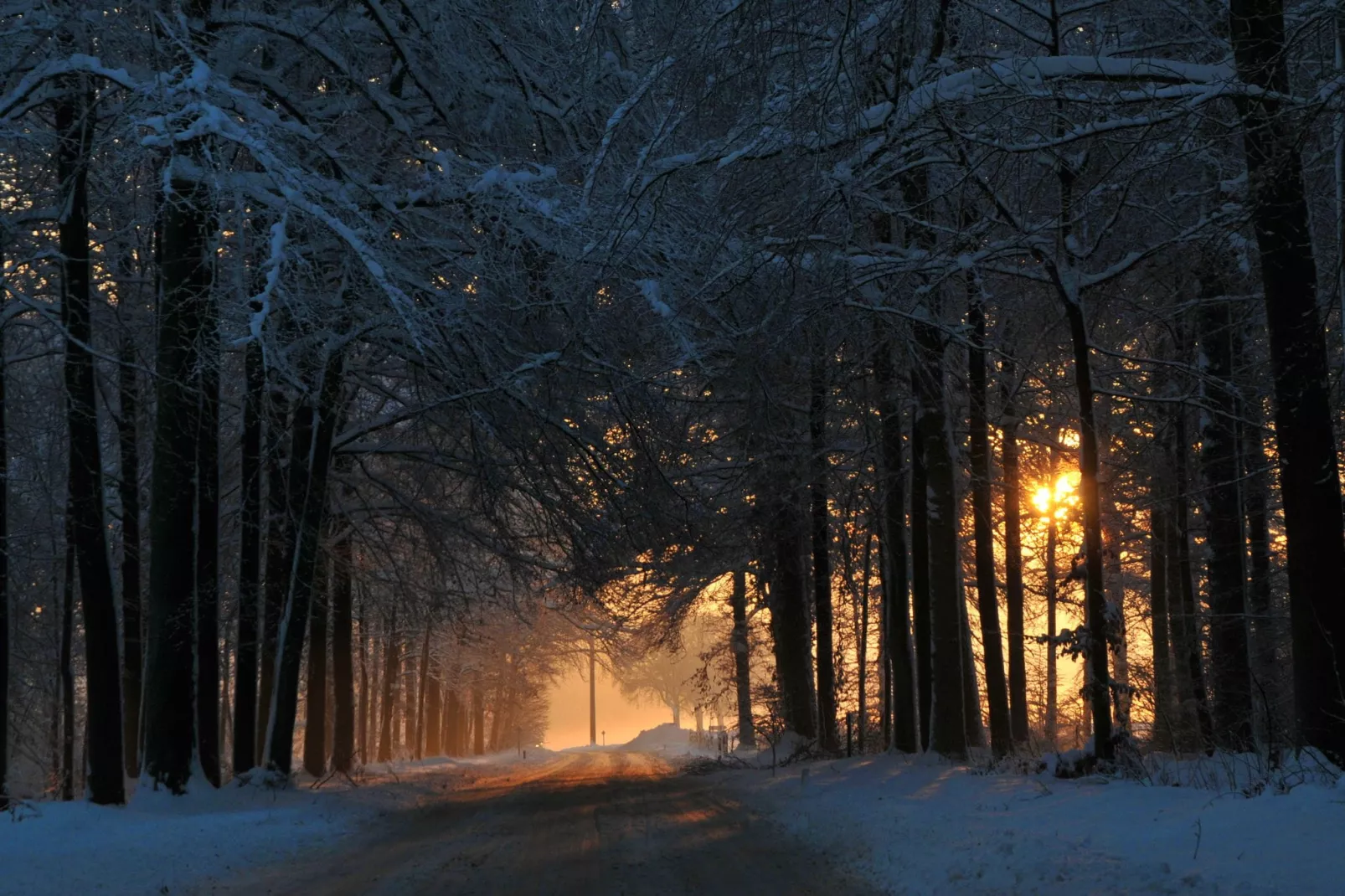 La Colline-Gebied winter 20km