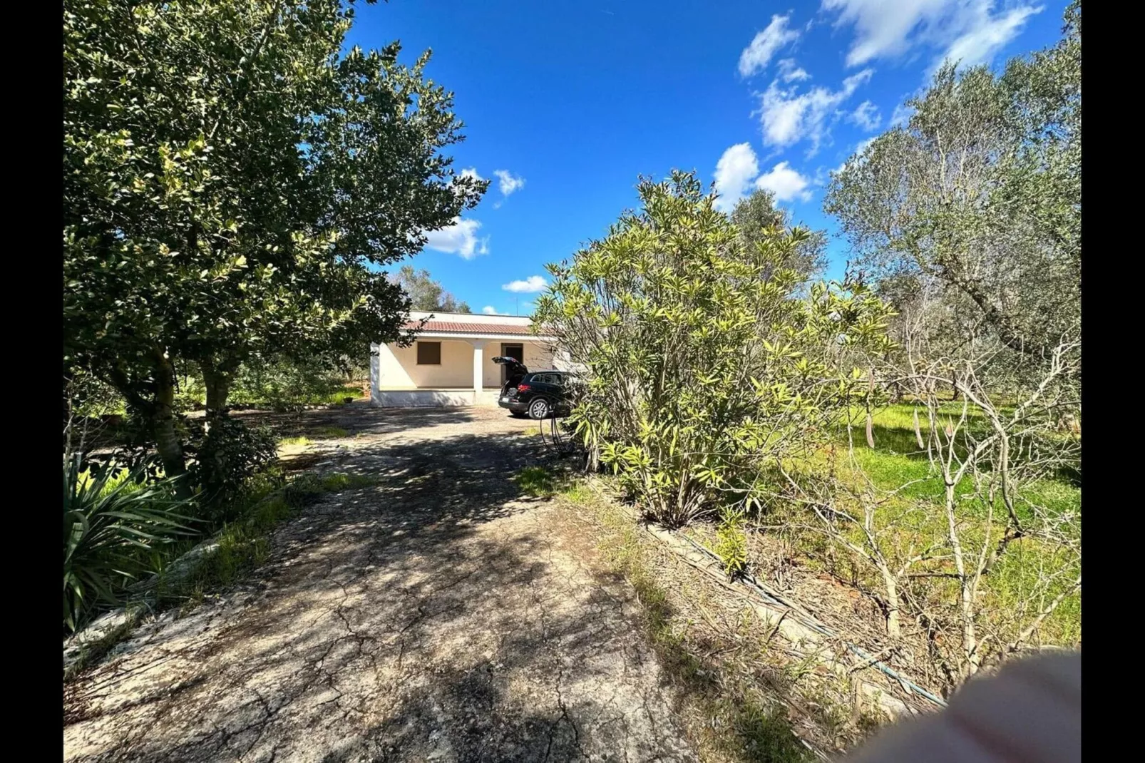 Villa azzurza - Gebieden zomer 1km