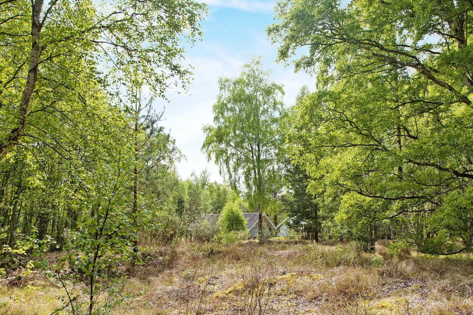 6 persoons vakantie huis in Læsø-By Traum-Niet-getagd