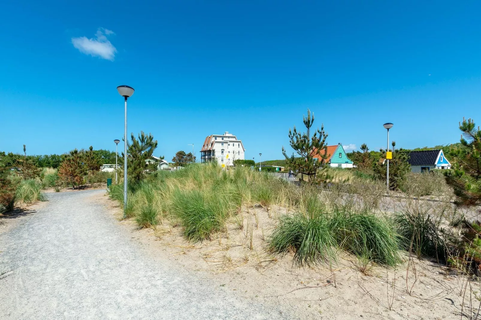 Strandleven 106-Gebieden zomer 1km