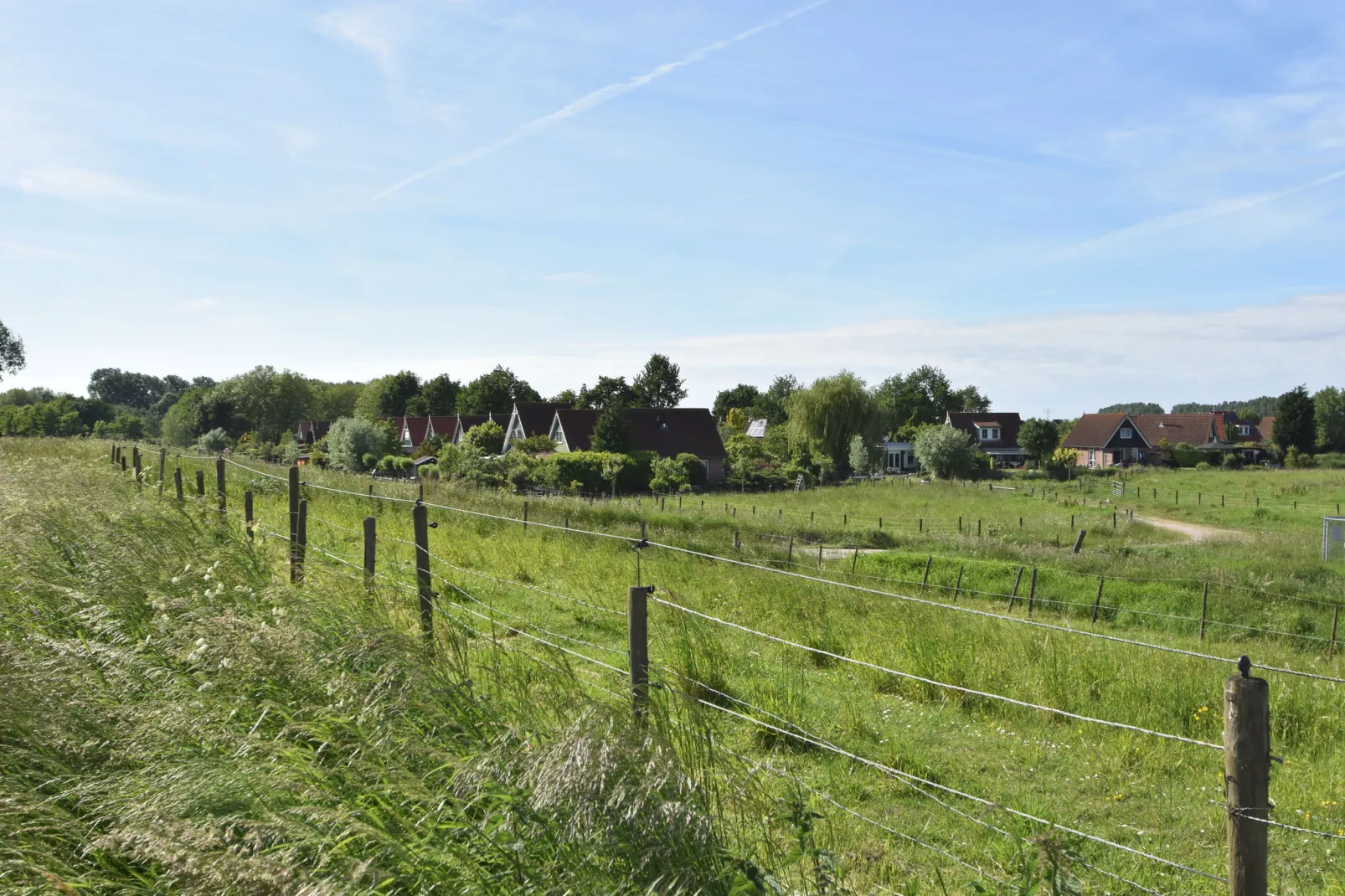 Het Volkerak-Gebieden zomer 1km