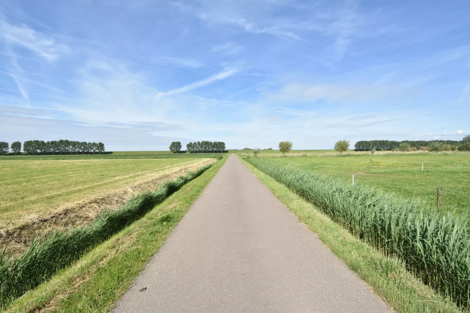 Het Volkerak-Gebieden zomer 1km