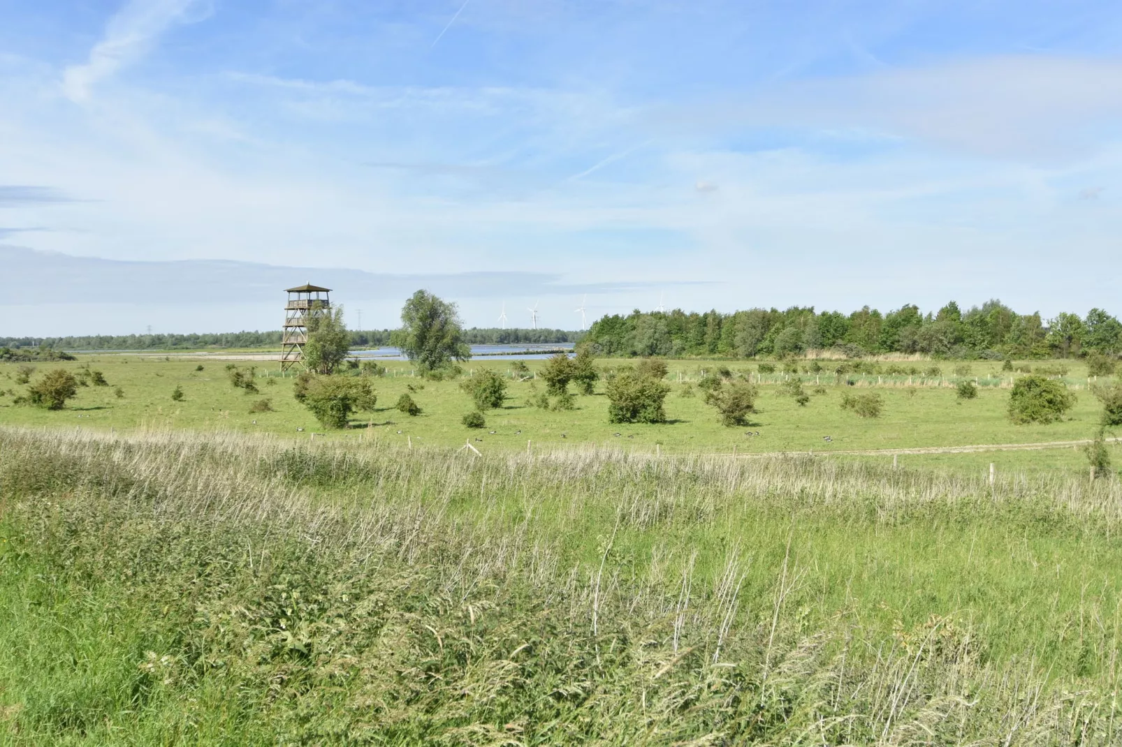 Het Volkerak-Gebieden zomer 5km