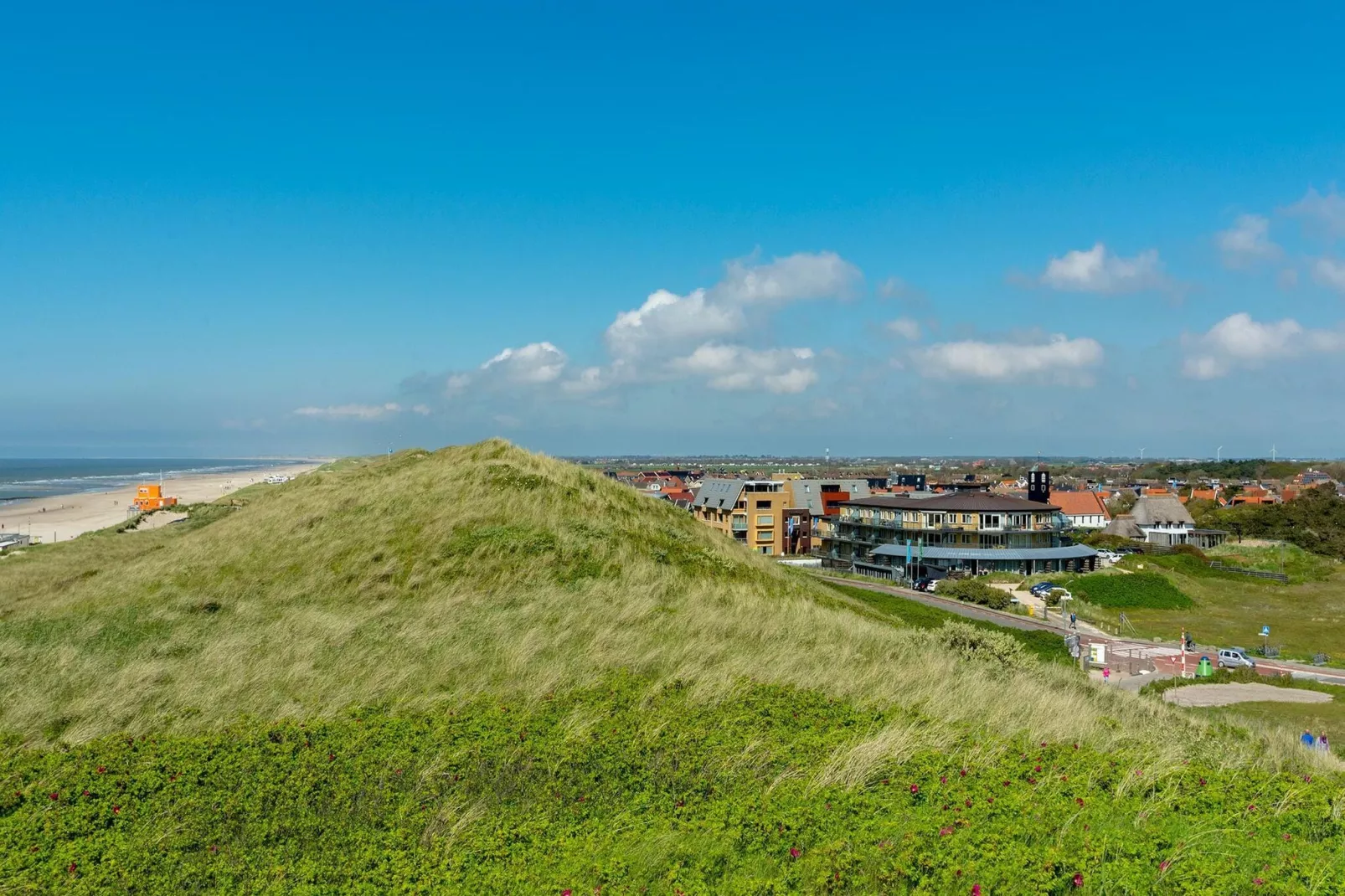 Strandslag 107-Gebieden zomer 1km