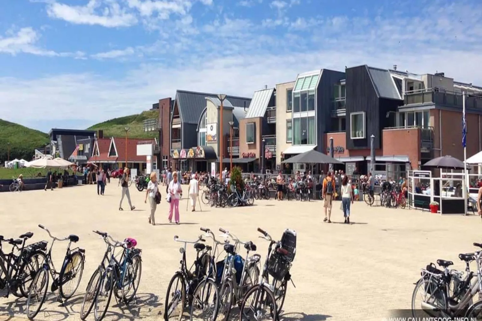 Wijde Blick 208-Gebieden zomer 1km