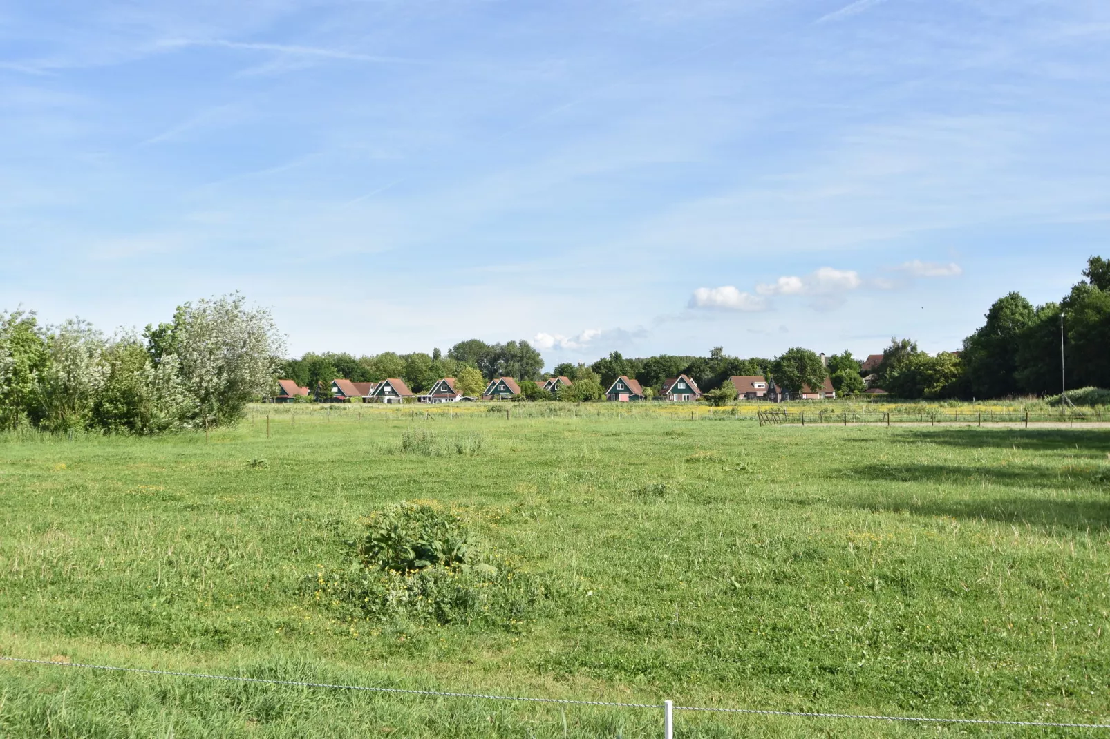 Het Volkerak-Gebieden zomer 1km