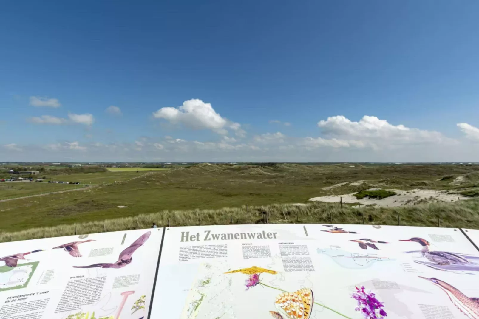Duinroosweg 83-Gebieden zomer 5km