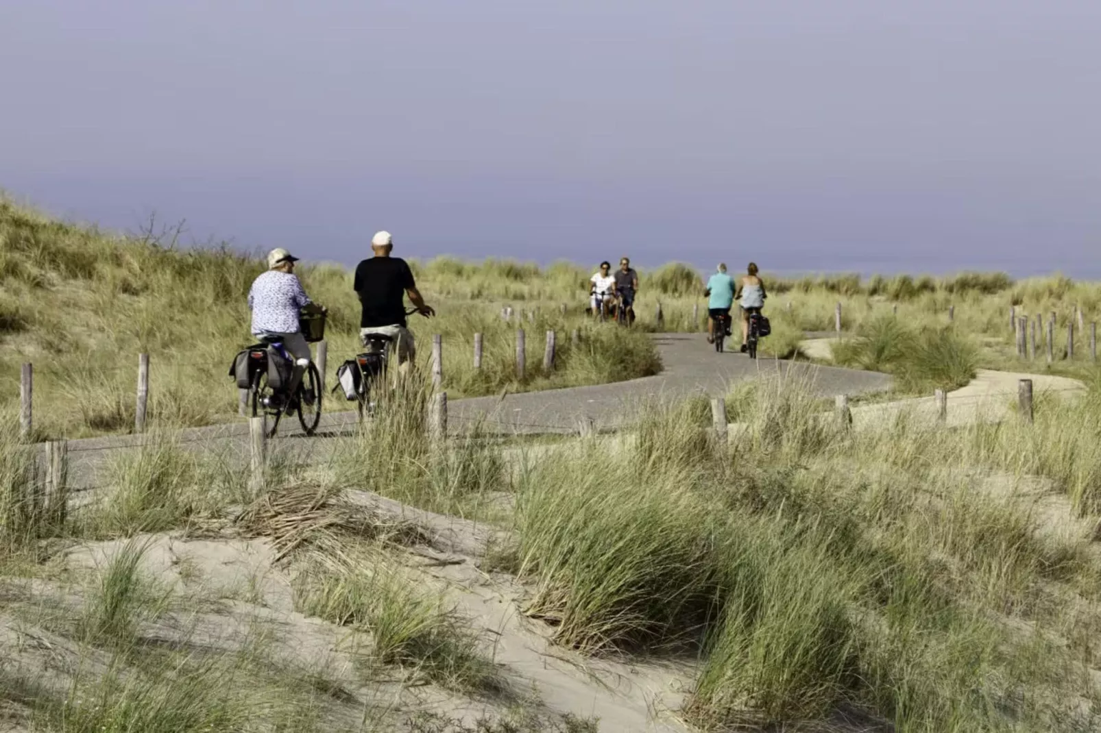Duynlodge - Duynpark-Gebieden zomer 5km