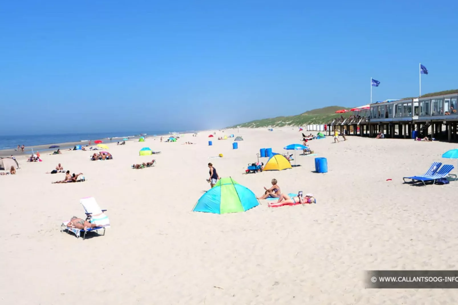Duynlodge - Duynpark-Gebieden zomer 5km